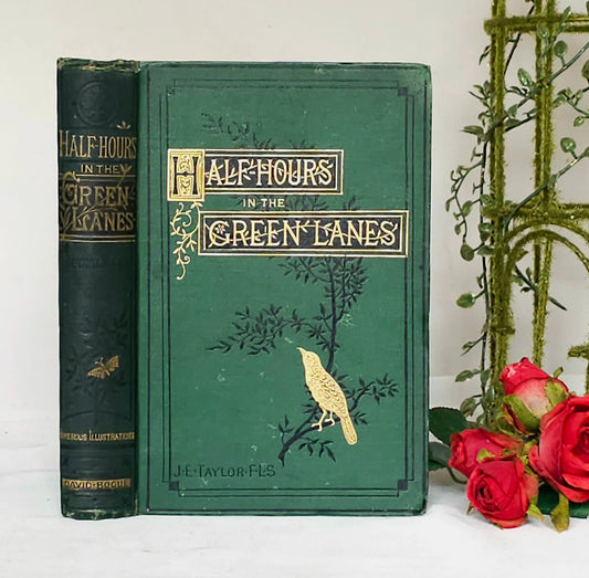 1879 Half Hours in the Green Lanes - A Book For a Country Stroll by JE Taylor / David Bogue, London / Richly Illustrated