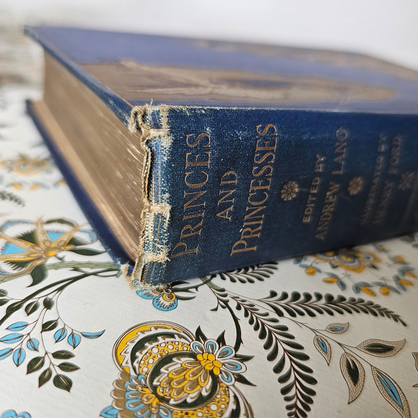 1908 The Book of Princes and Princesses by Mrs Lang / First Edition, Longmans Green & Co., London / Beautifully Illustrated Antique Book