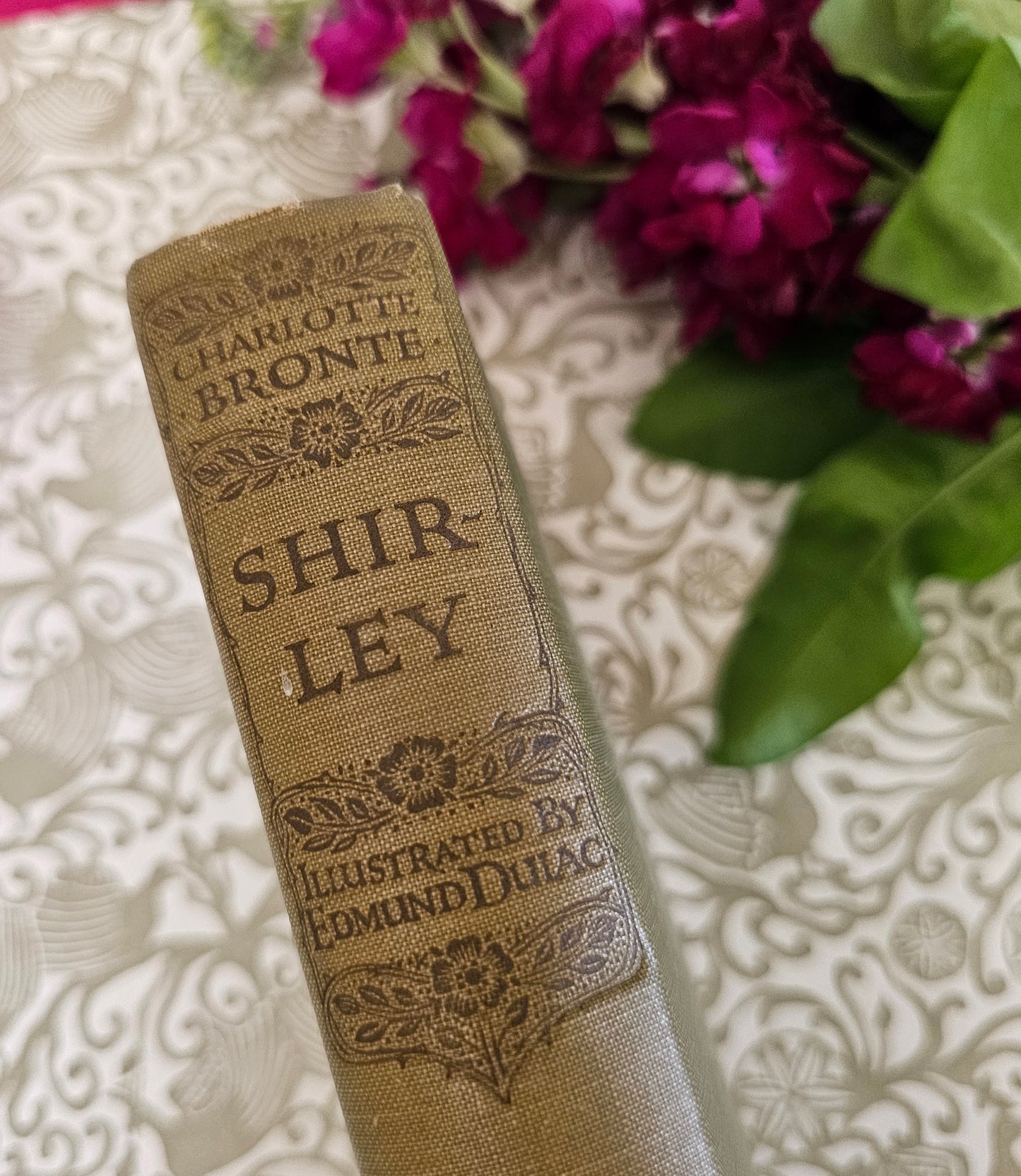 1922 Shirley by Charlotte Bronte / JM Dent & Sons, London / 12 Delightful Colour Illustrations by Edmund Dulac / In Excellent Condition