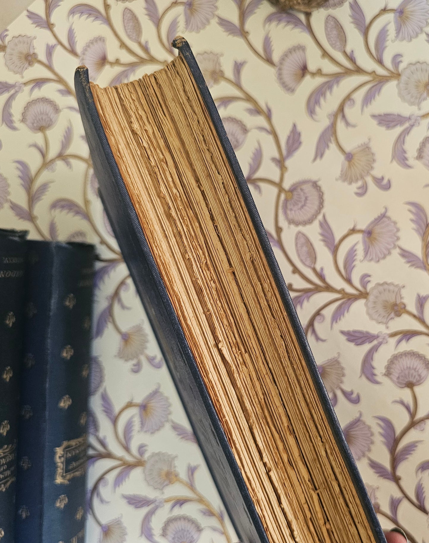 1925 Memoirs of Monsieur D'Artagnan of the King's Musketeers by Courtilz de Sandraz / The Inspiration For The Three Musketeers / 3 Volumes