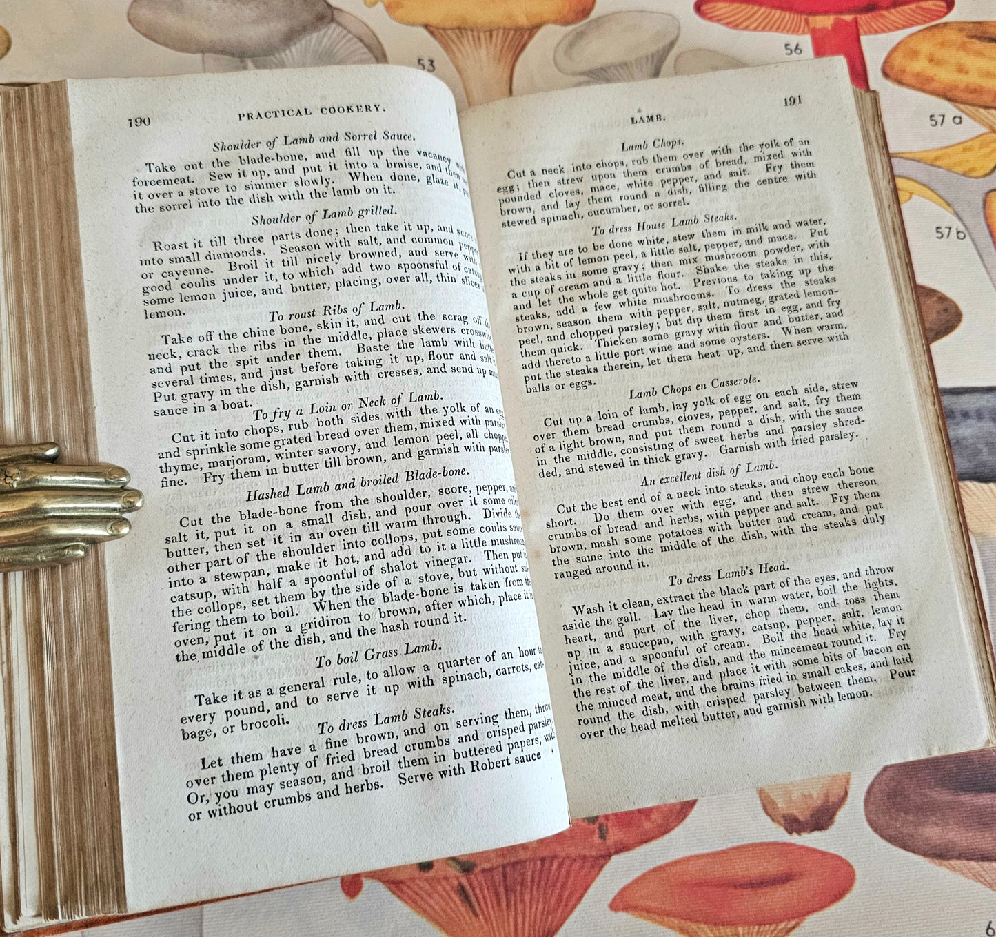 1850 A Complete System of Modern Cookery and Domestic Economy / In Good Condition / Antique Recipe Book / Illustrated / 175 Years Old