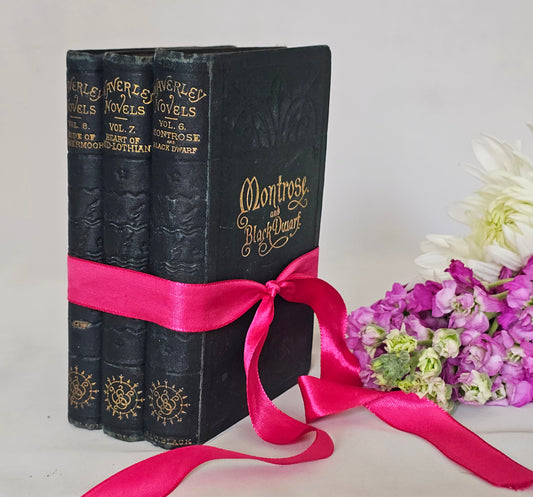 1873 Trio of Antique Sir Walter Scott Novels / Pocket Editions - Waverley Series / Adam & Charles Black, London / Illustrated Frontispieces