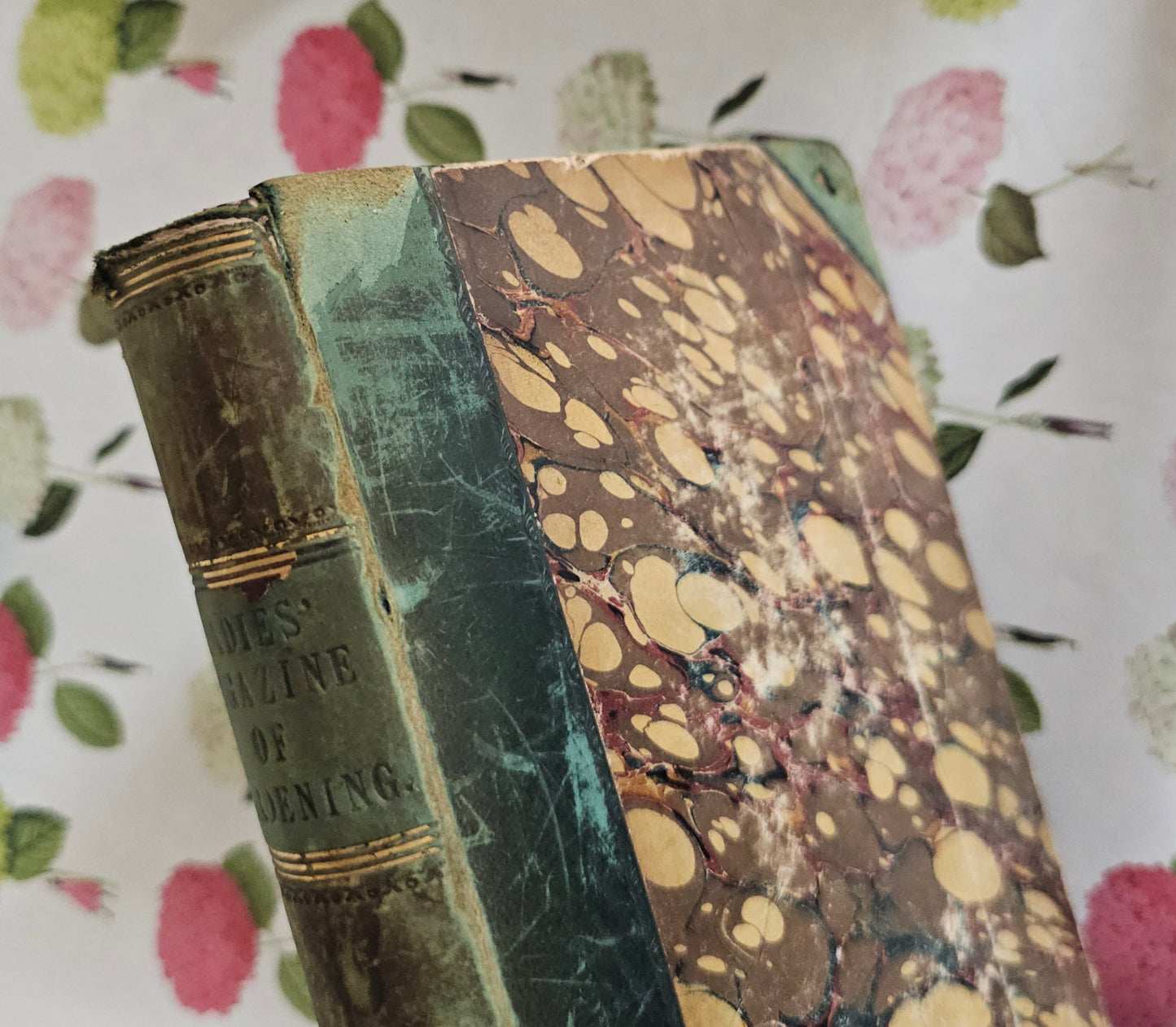 1842 The Ladies' Magazine of Gardening by Mrs Loudon / Eleven Superb Colour Plates / Diagrams / William Smith, London