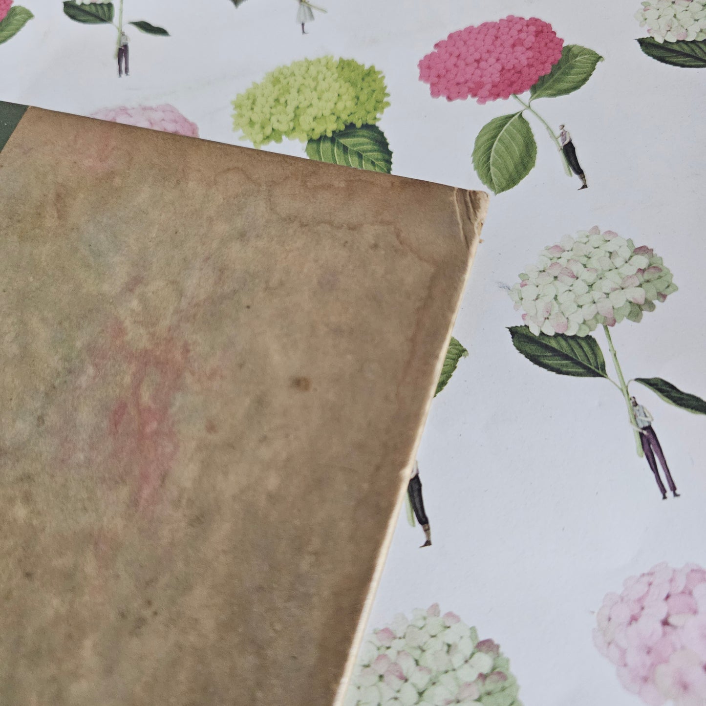 1923 The Watsons by Jane Austen / In Good Condition / An Extremely Early Copy of Her Unfinished Novel / First Time In Print On It's Own