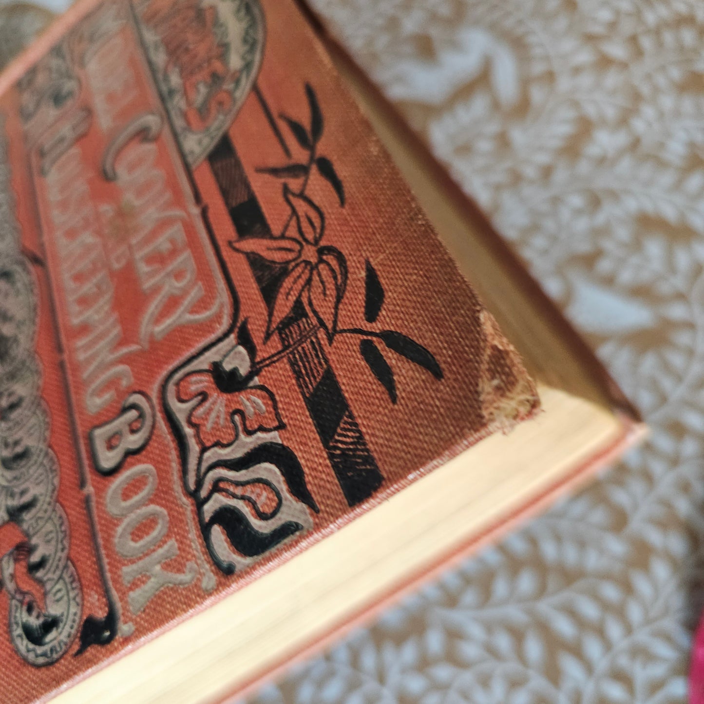 c1900 Warne's Model Cookery - With Complete Instructions in Household Management / Frederick Warne & Co., London / Four Colour Plates