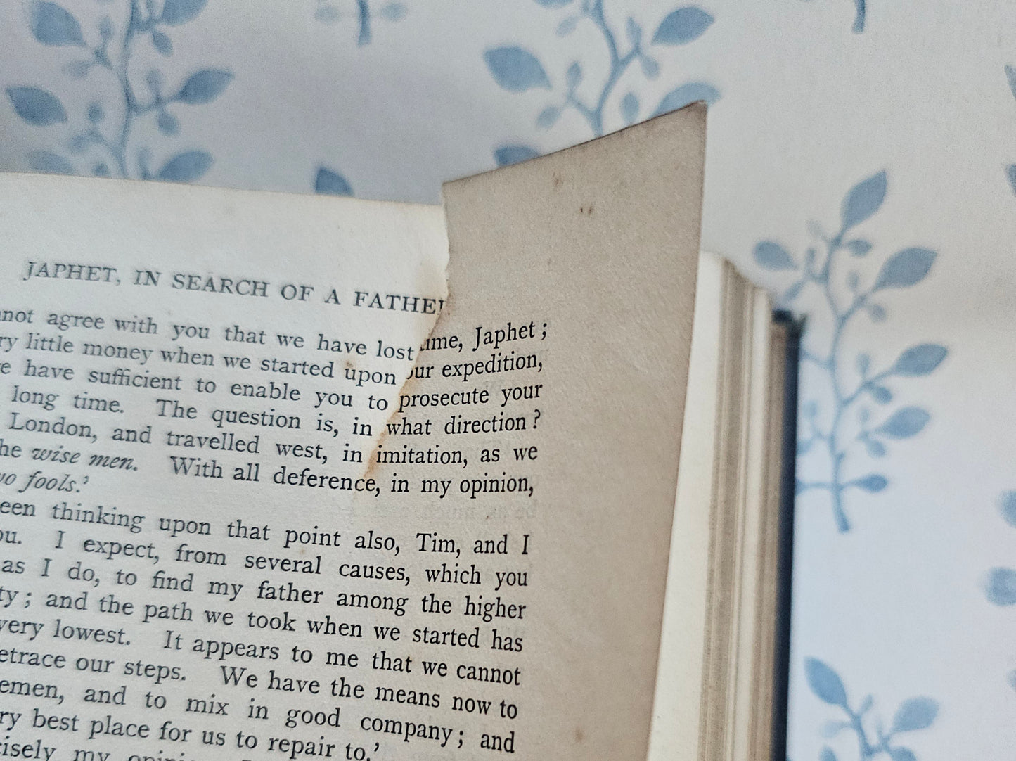 1895 "Japhet In Search of a Father" Book: Antique Turbayne Covers, Illustrated