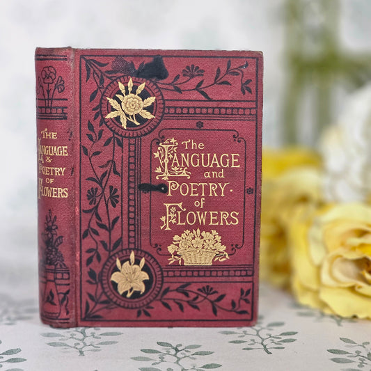 1876 The Language and Poetry of Flowers - Illustrated Antique Pocket Book