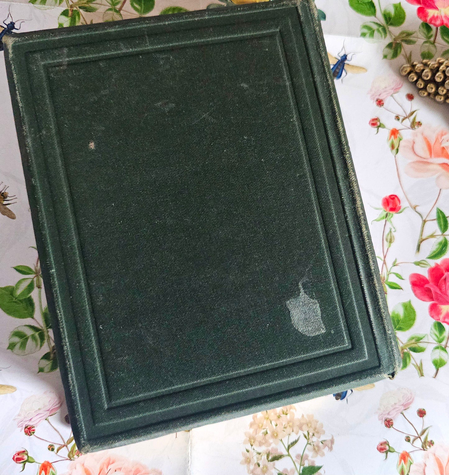 1885 The Language and Poetry of Flowers - Antique Book - Colour Illustrations