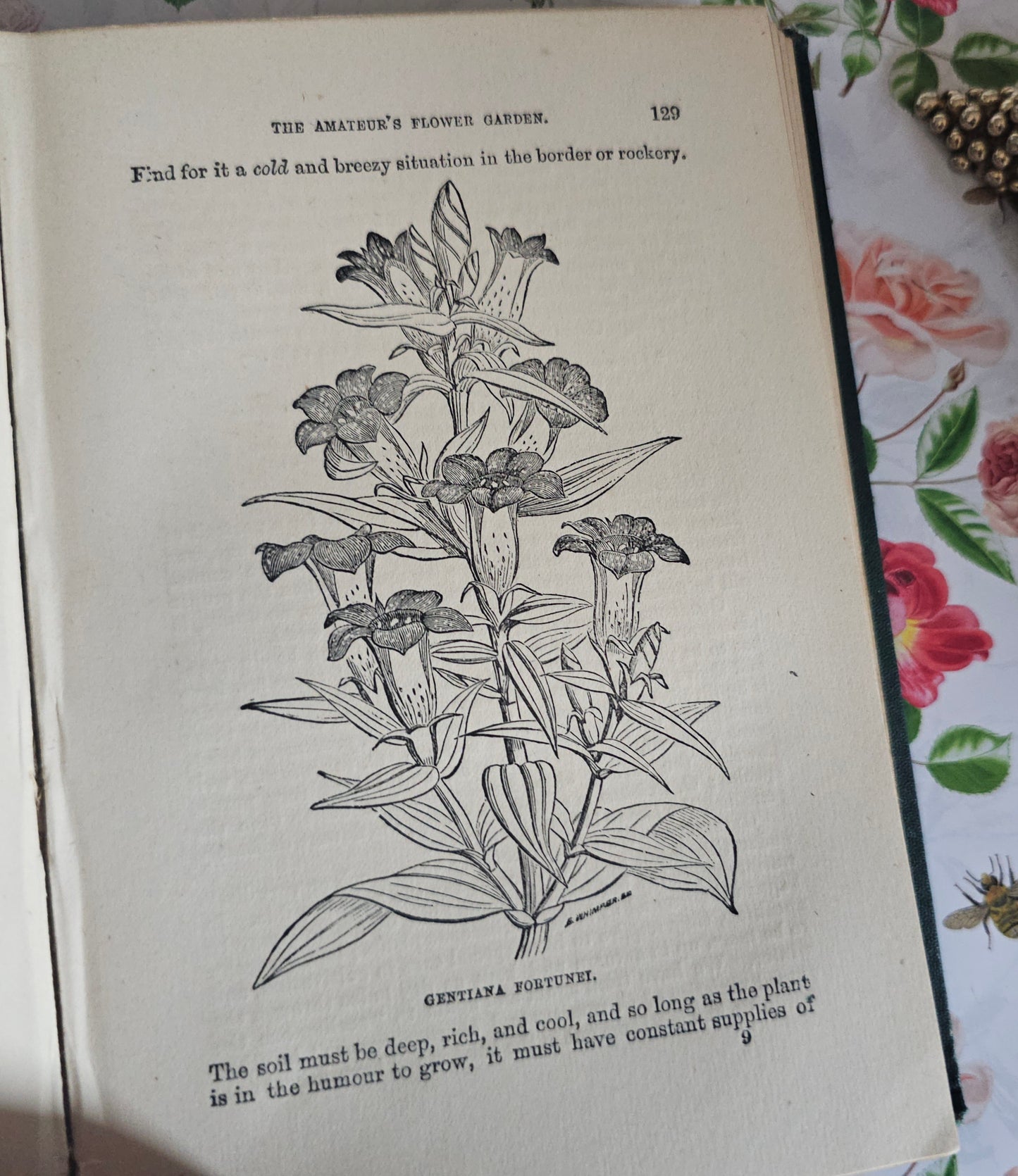 1878 The Amateur's Flower Garden by Hibberd- Antique - Illustrated