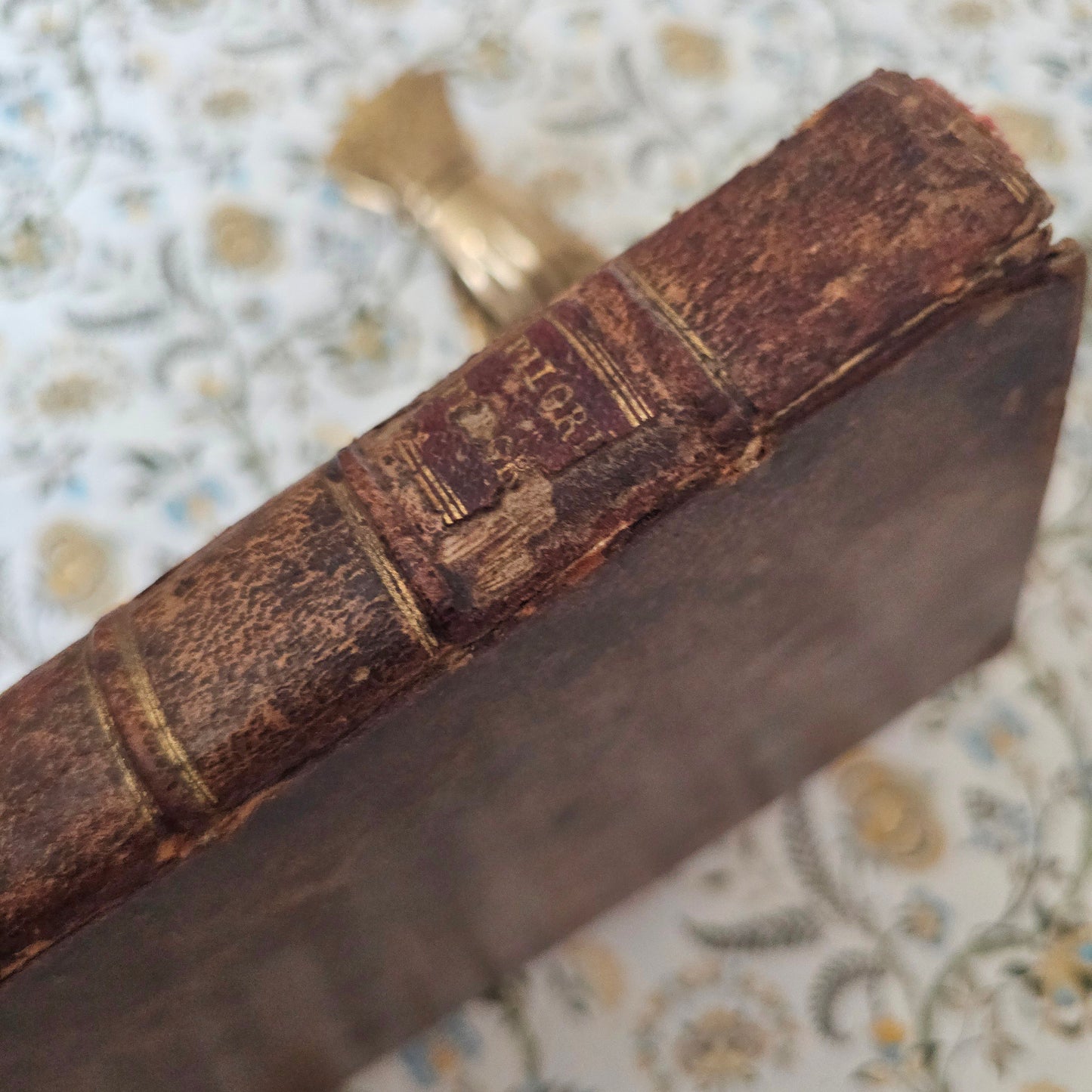 1763 Pilgrim's Progress by John Bunyan - Illustrated Antique Book - 263 Years Old