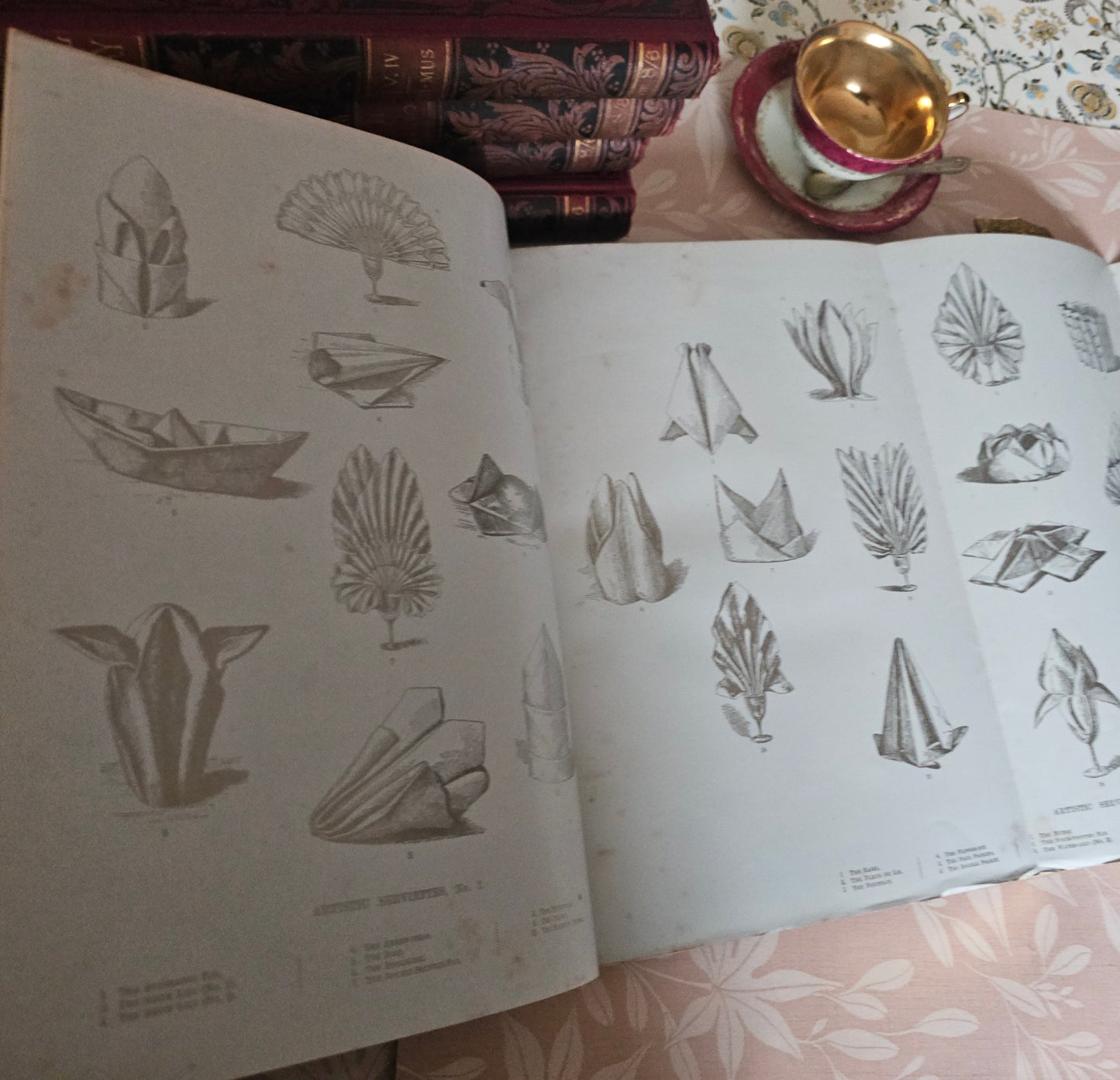 Antique Cookery Encyclopaedia in 8 Volumes - Superbly Illustrated