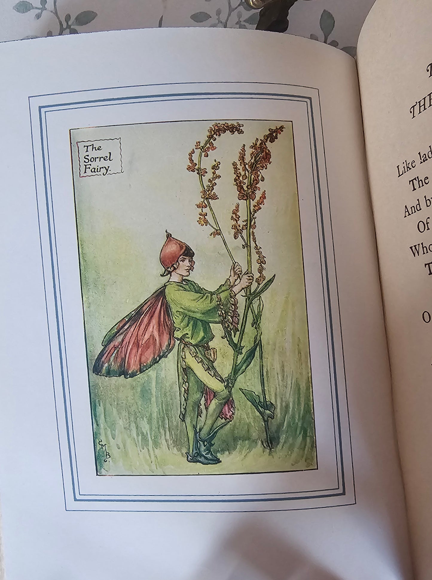 1950 The Book of the Flower Fairies by Cicely Mary Barker - Scarce in Dust Jacket