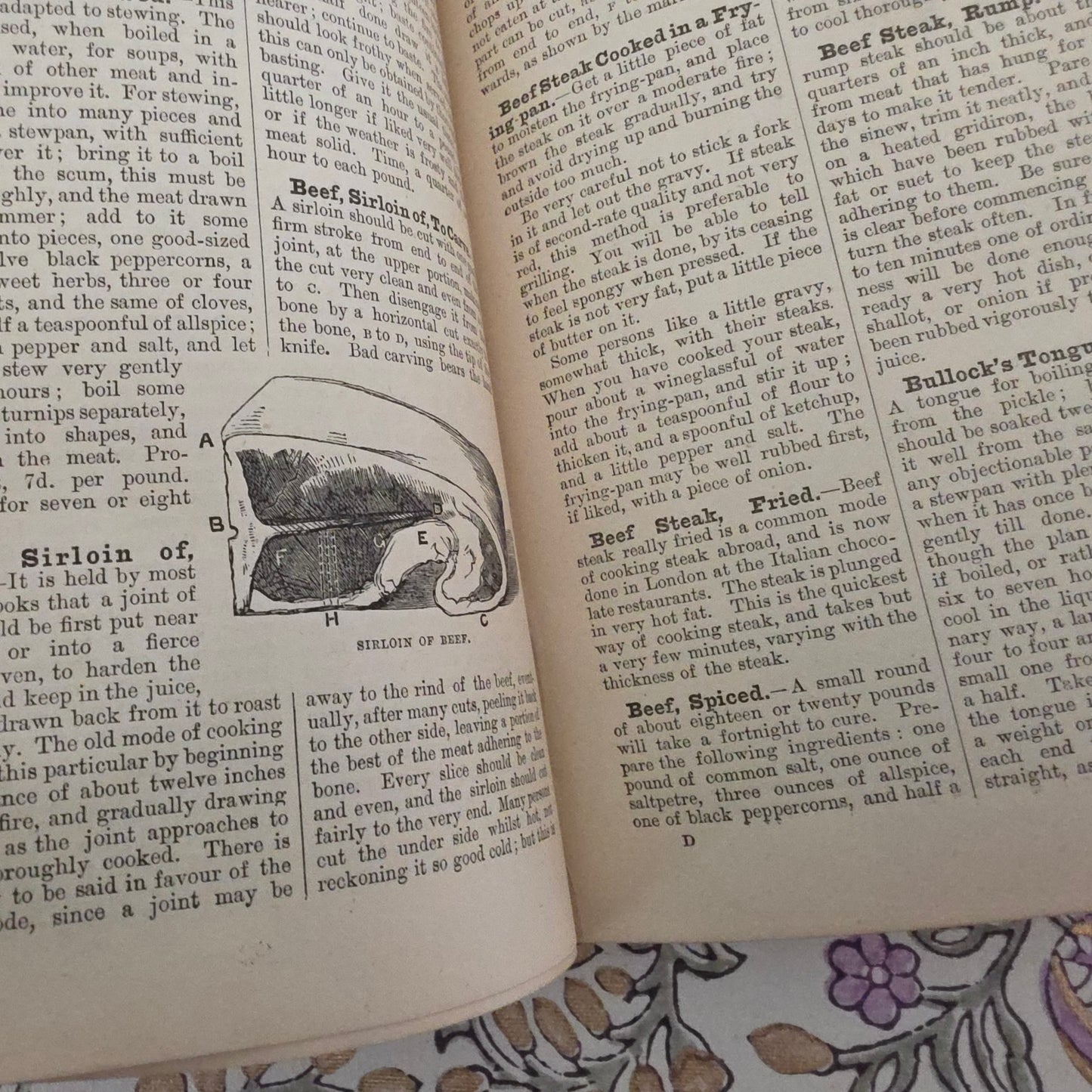 1890 Cassell's Popular Cookery - Colour Plates - Vintage Ads