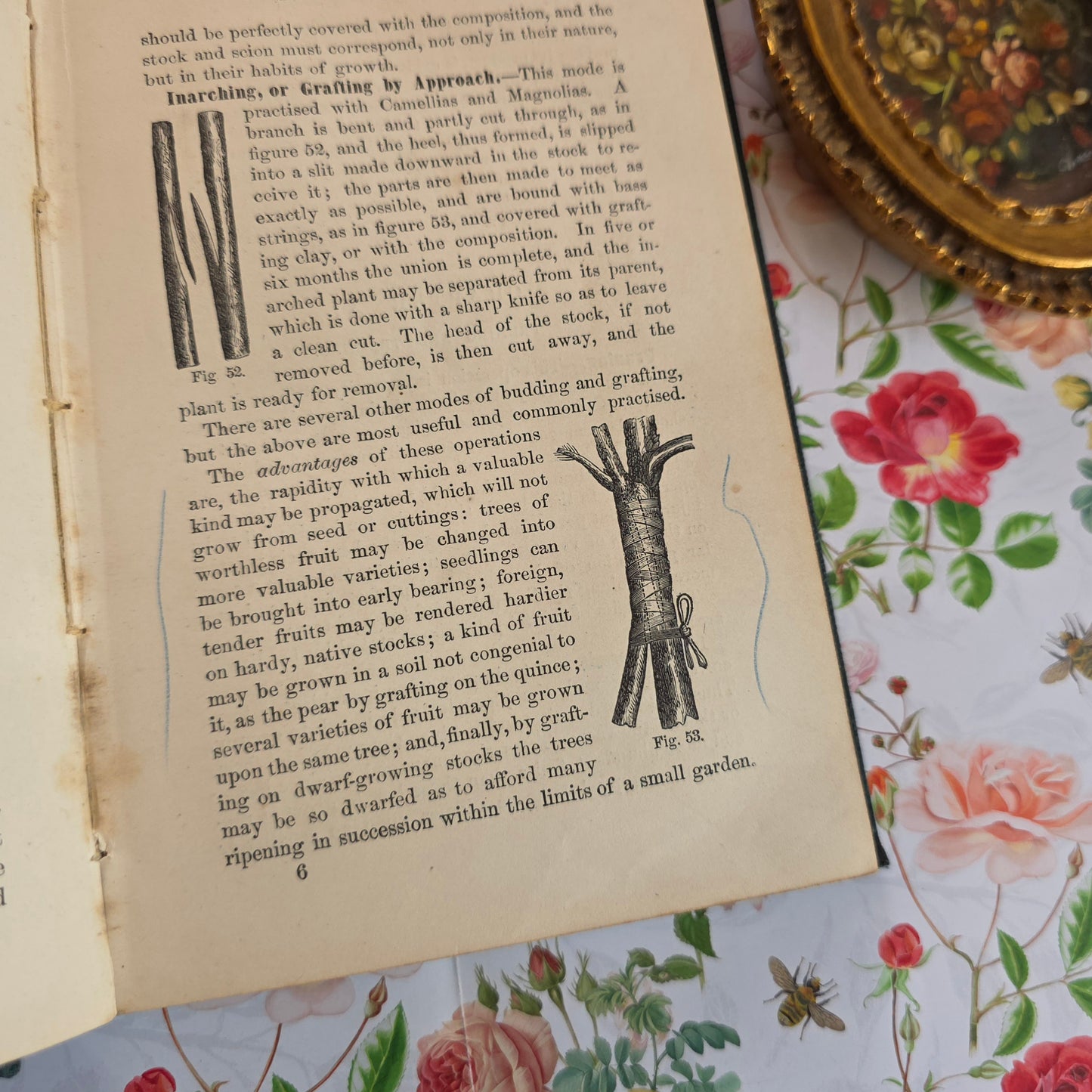 1868 Gardening For the South - Illustrated Antique Book