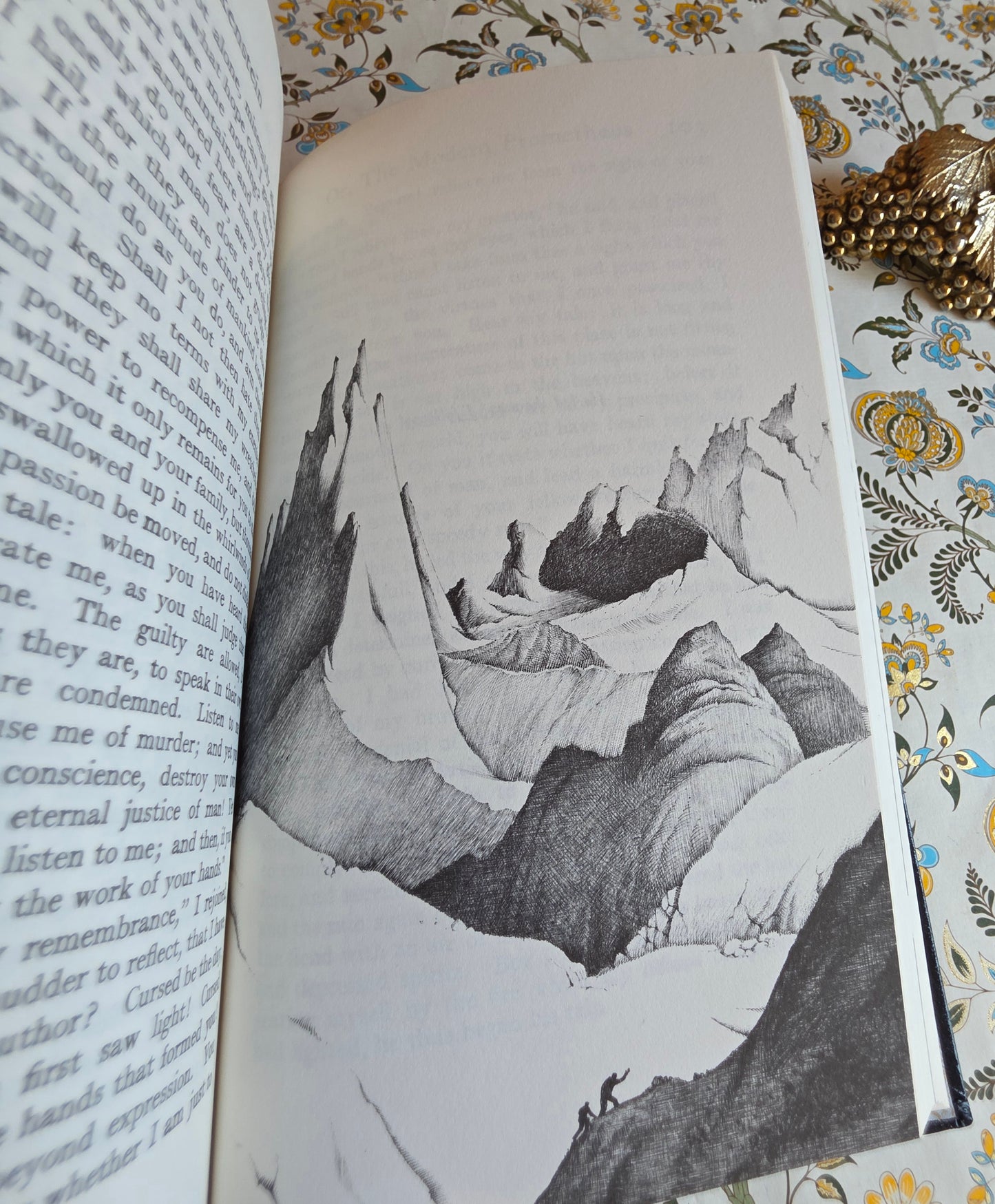1973 Frankenstein by Mary Shelley - Illustrated Vintage Book