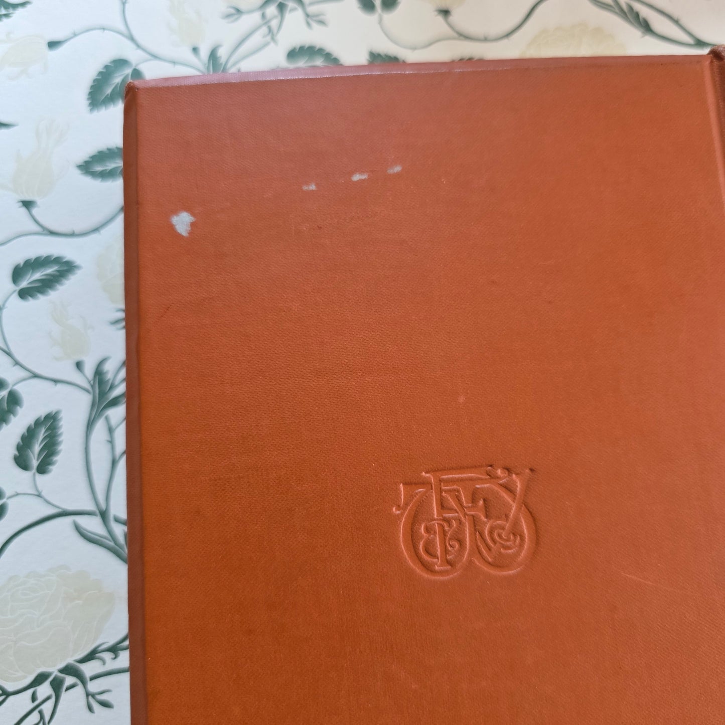 1896 1st Edition - A Little Mother To The Others by LT Meade - Antique Book