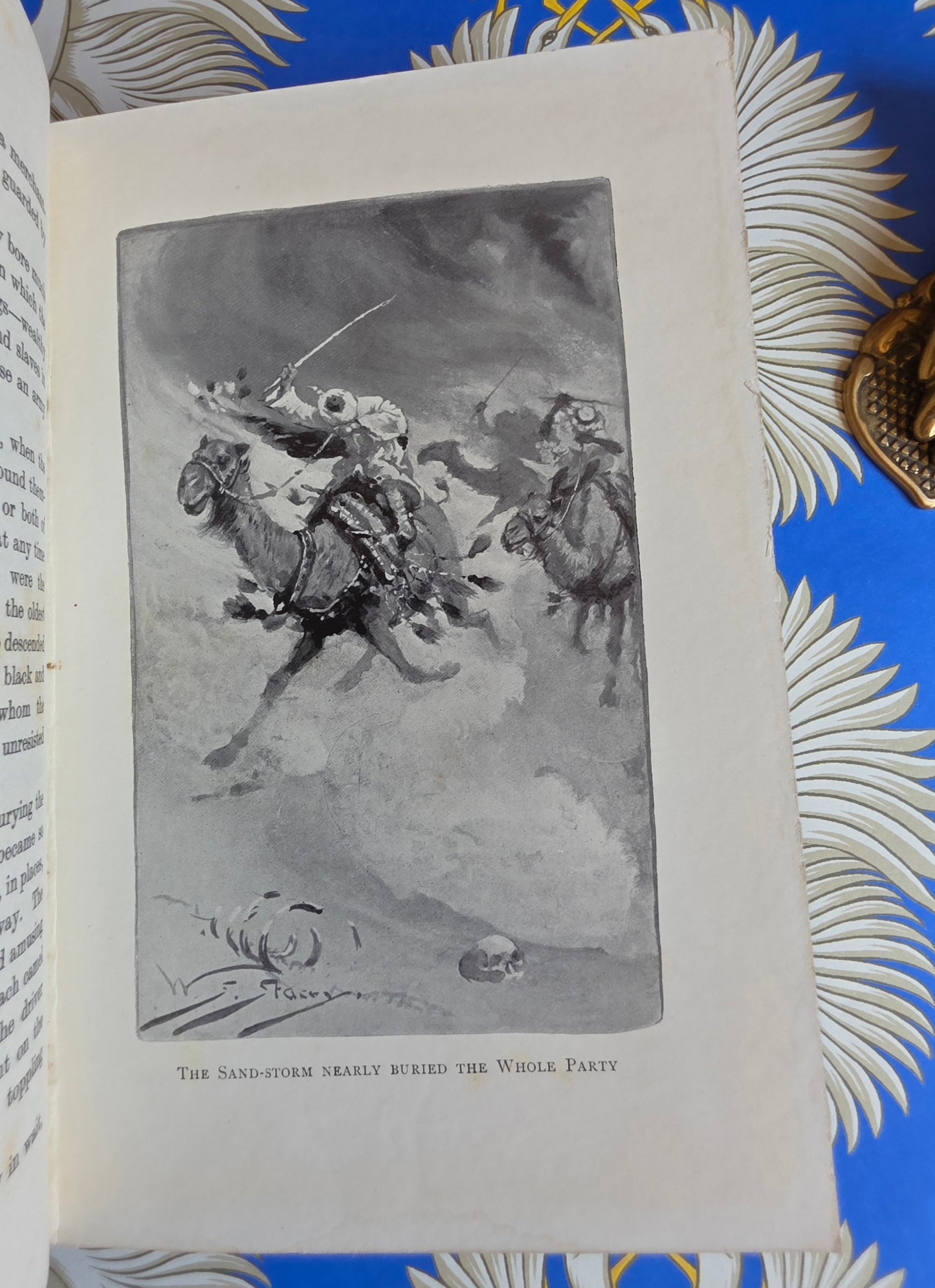 Adventures in The Great Deserts - Scarce, Illustrated Antique Book