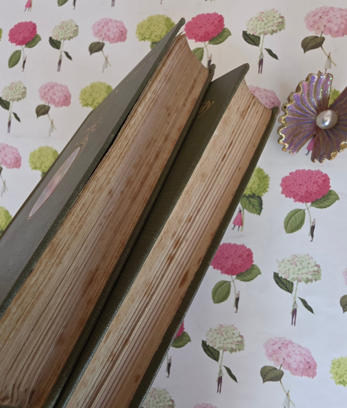 1908 Sense and Sensibility by Jane Austen: Illustrated Antique Book in Two Volumes