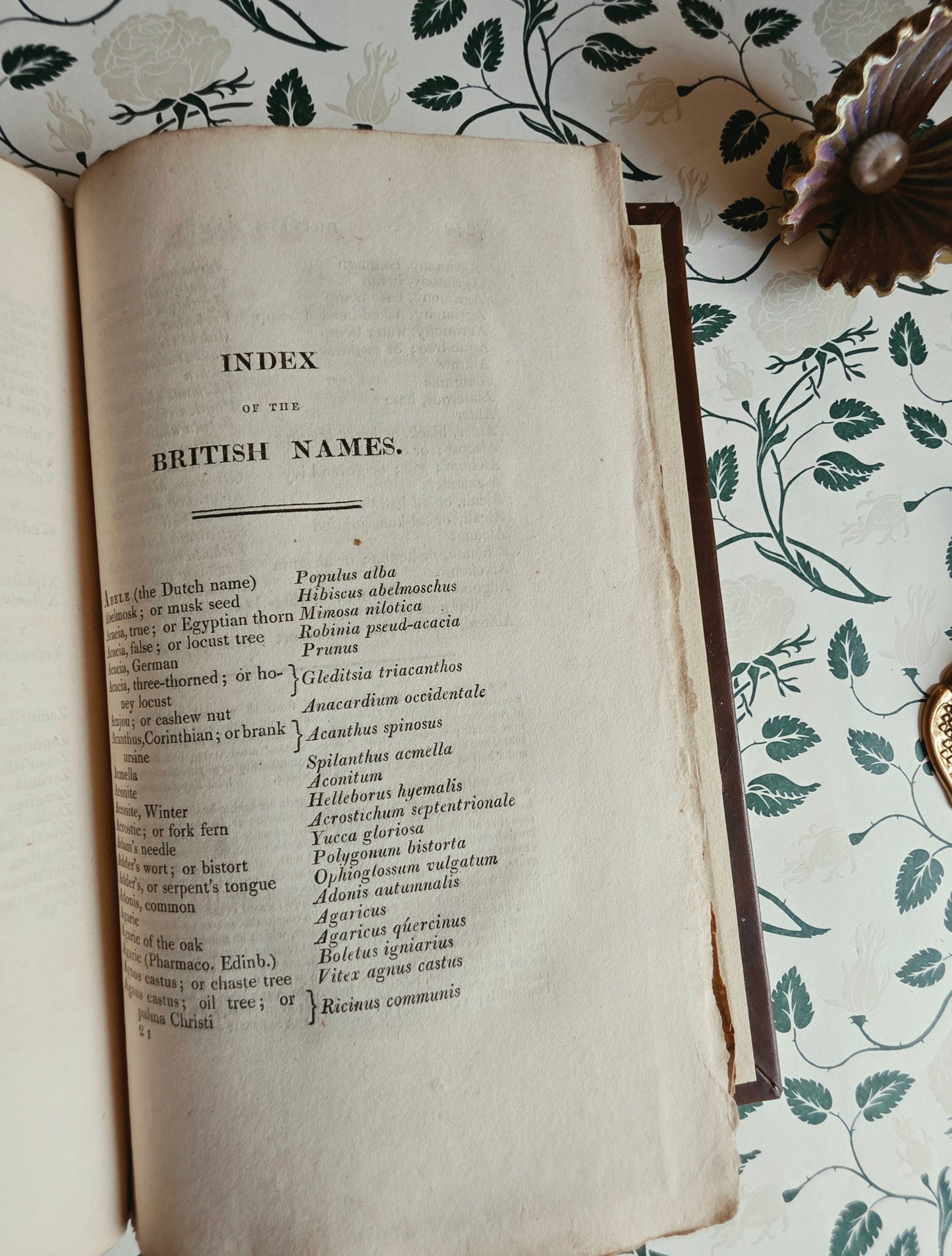Scarce - Principia Botanica by Robert Waring Darwin - Antique Book