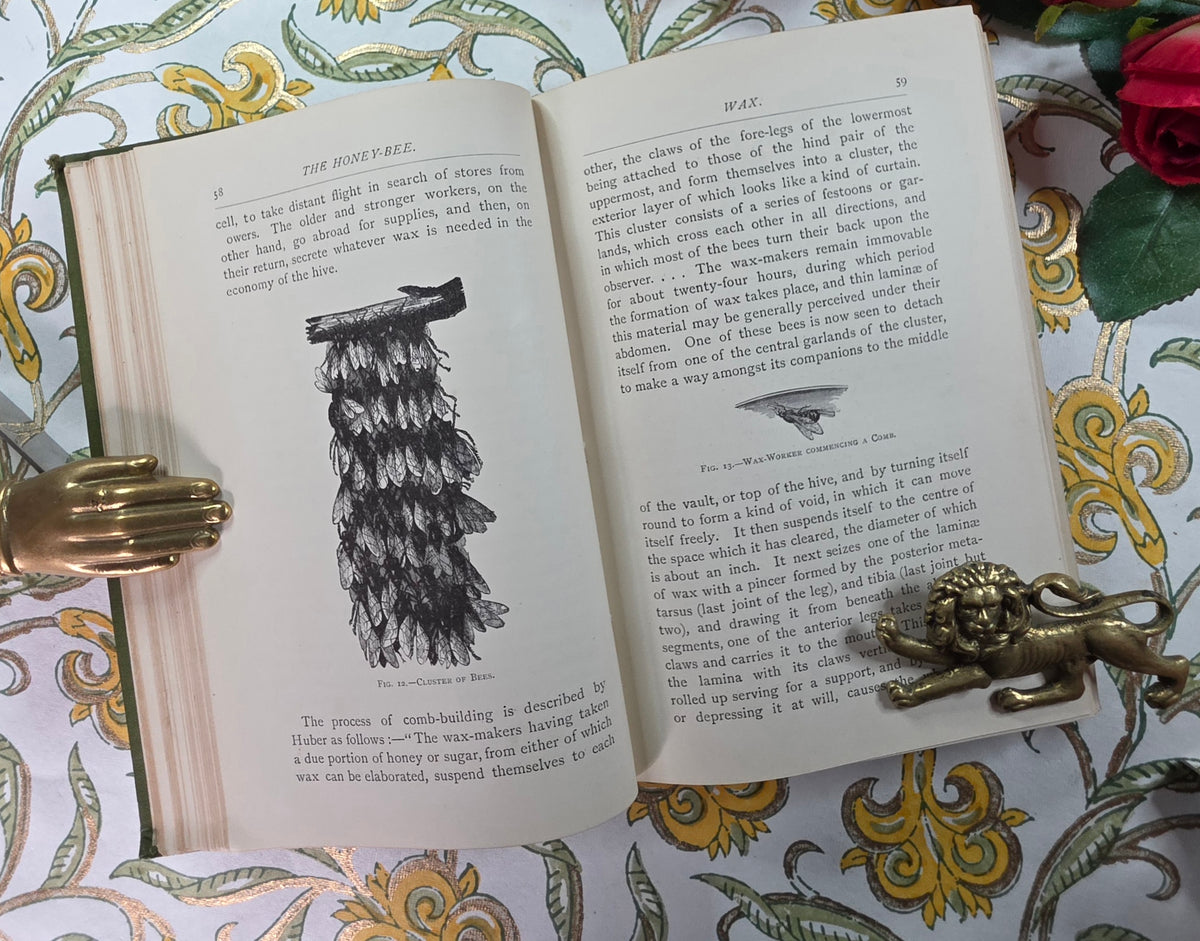 1884 The Honey-Bee - Its Nature, Homes and Products - Illustrated Antique Book