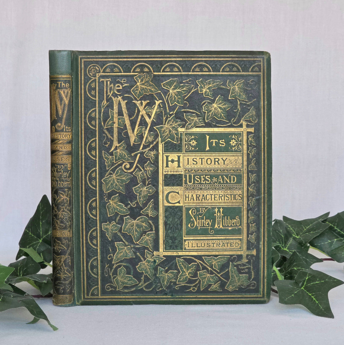 Shirley Hibberd: The Victorian Visionary Who Gave Gardening to Everyone