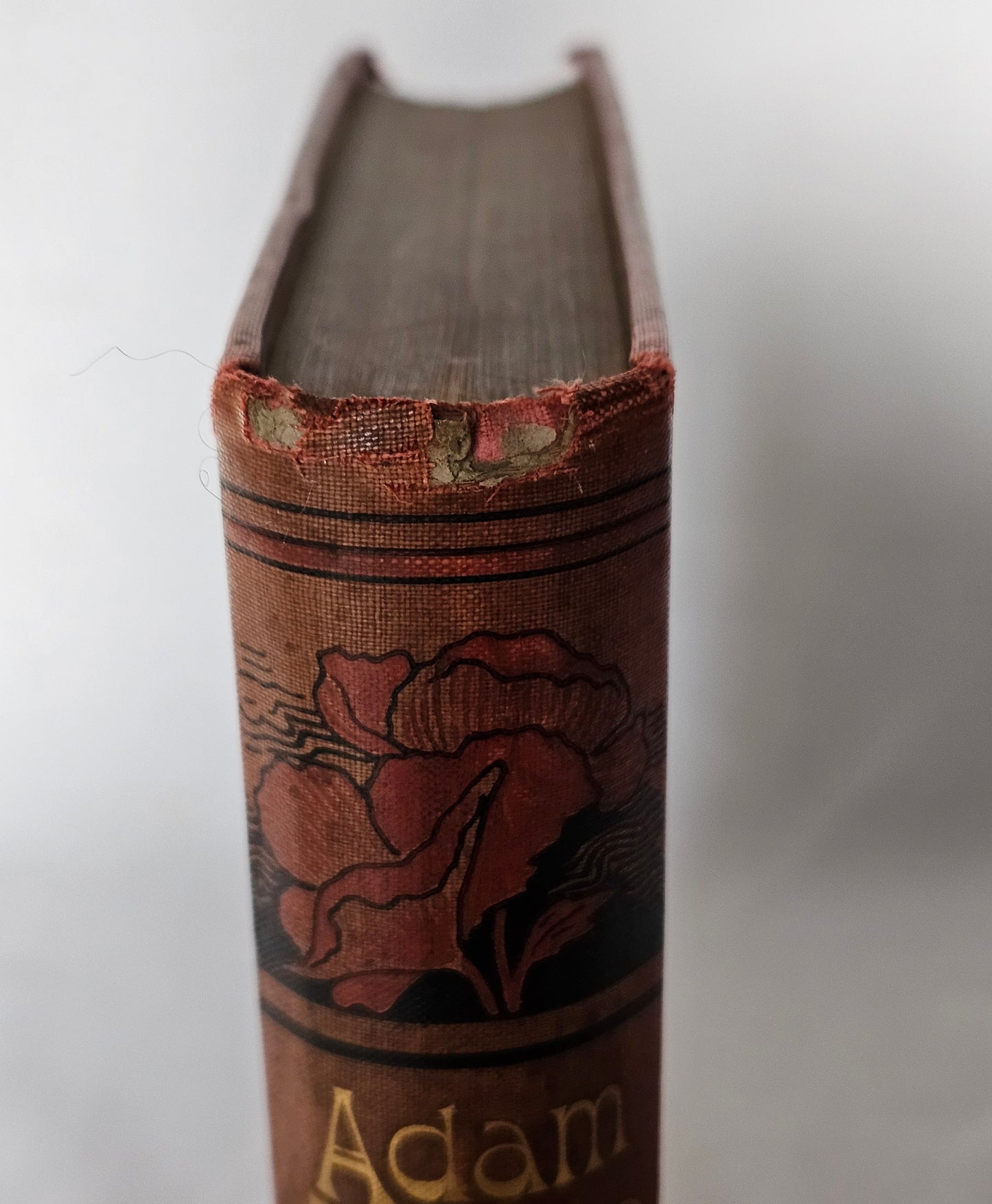 c1900 Adam Bede by George Eliot / WP Nimmo, Hay & Mitchell, Edinburgh / Antique Edition / In Good Condition / Decorative Boards