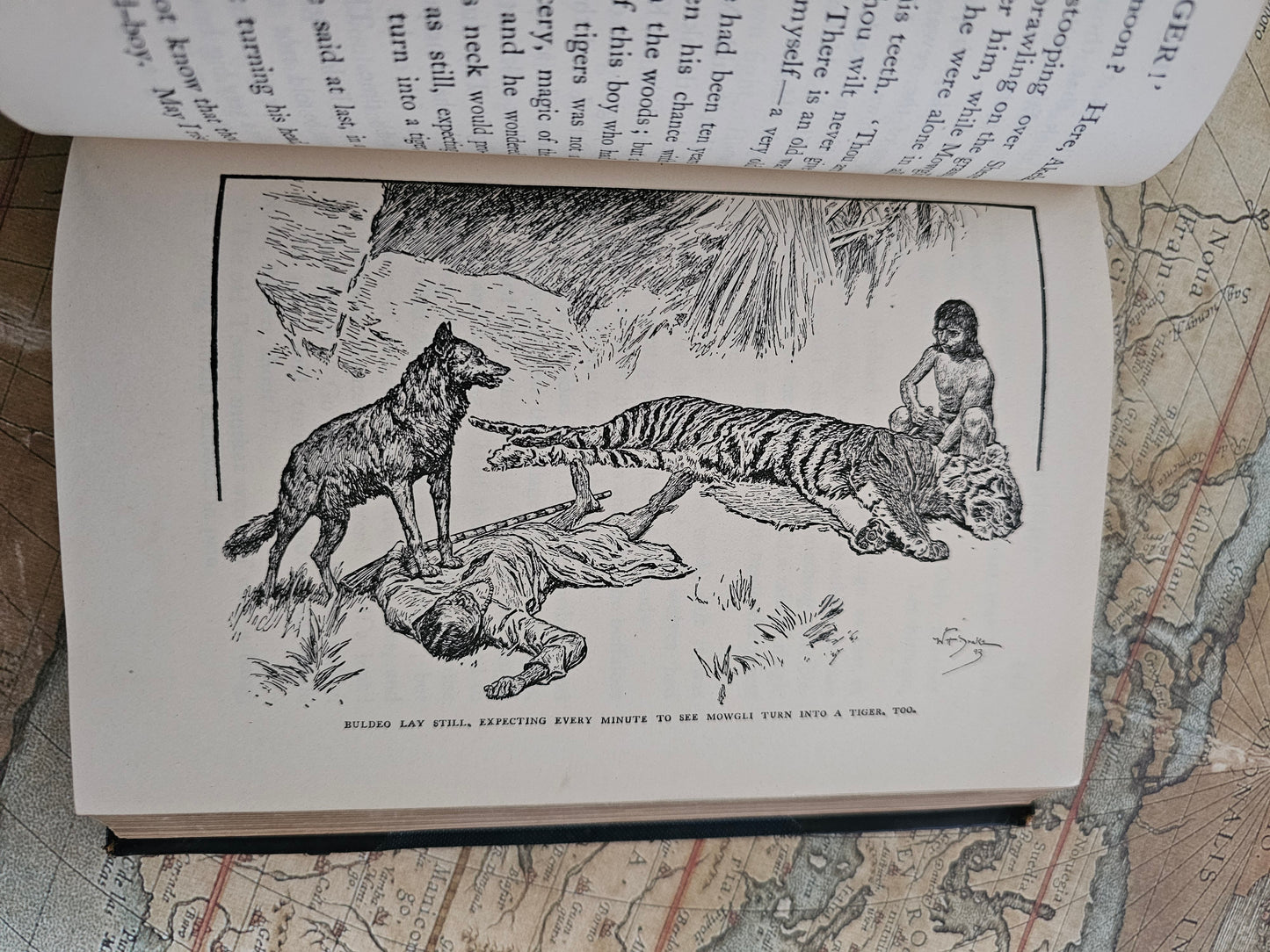 1926 The Two Jungle Books by Rudyard Kipling / Macmillan & Co., London / Richly Illustrated Vintage Edition Containing Both Jungle Books