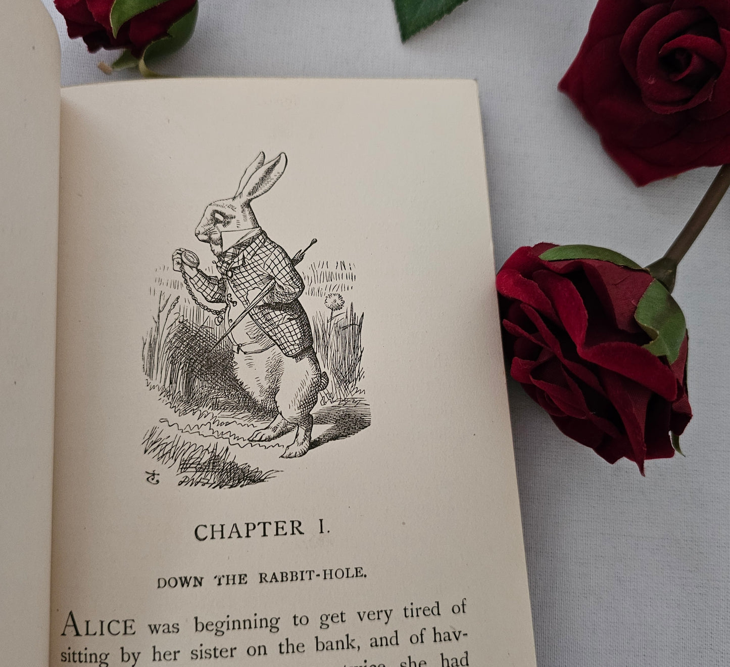 1919 Alice's Adventures in Wonderland by Lewis Carroll / Full Leather / Beautifully Illustrated by John Tenniel / In Very Good Condition