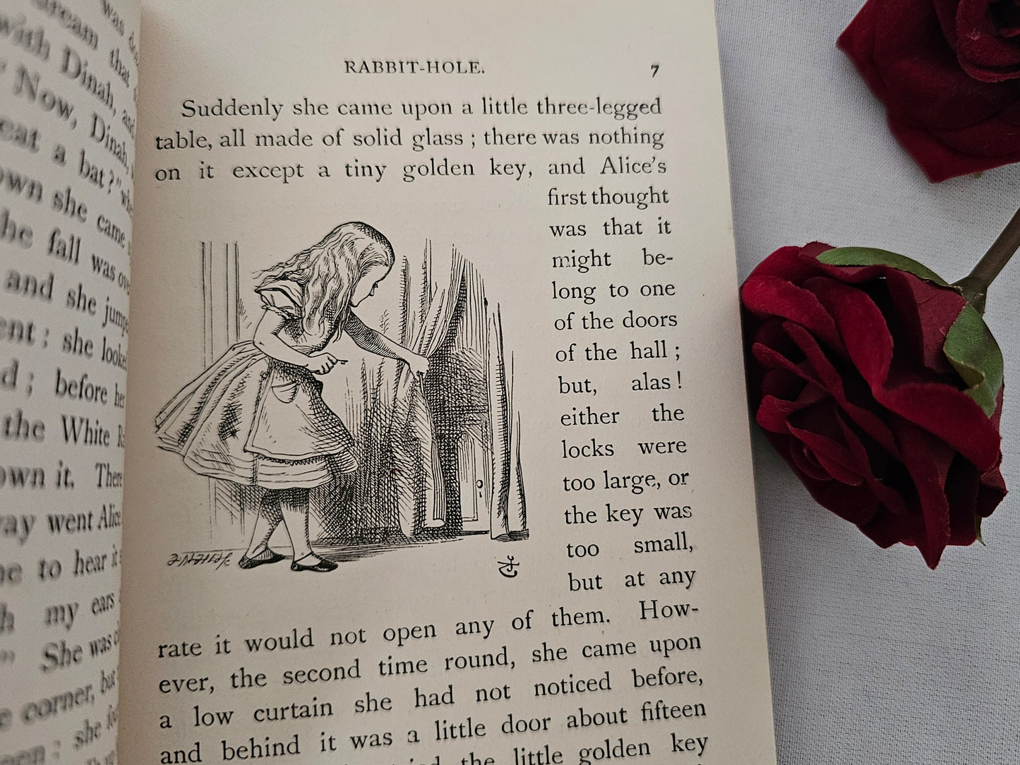 1919 Alice's Adventures in Wonderland by Lewis Carroll / Full Leather / Beautifully Illustrated by John Tenniel / In Very Good Condition