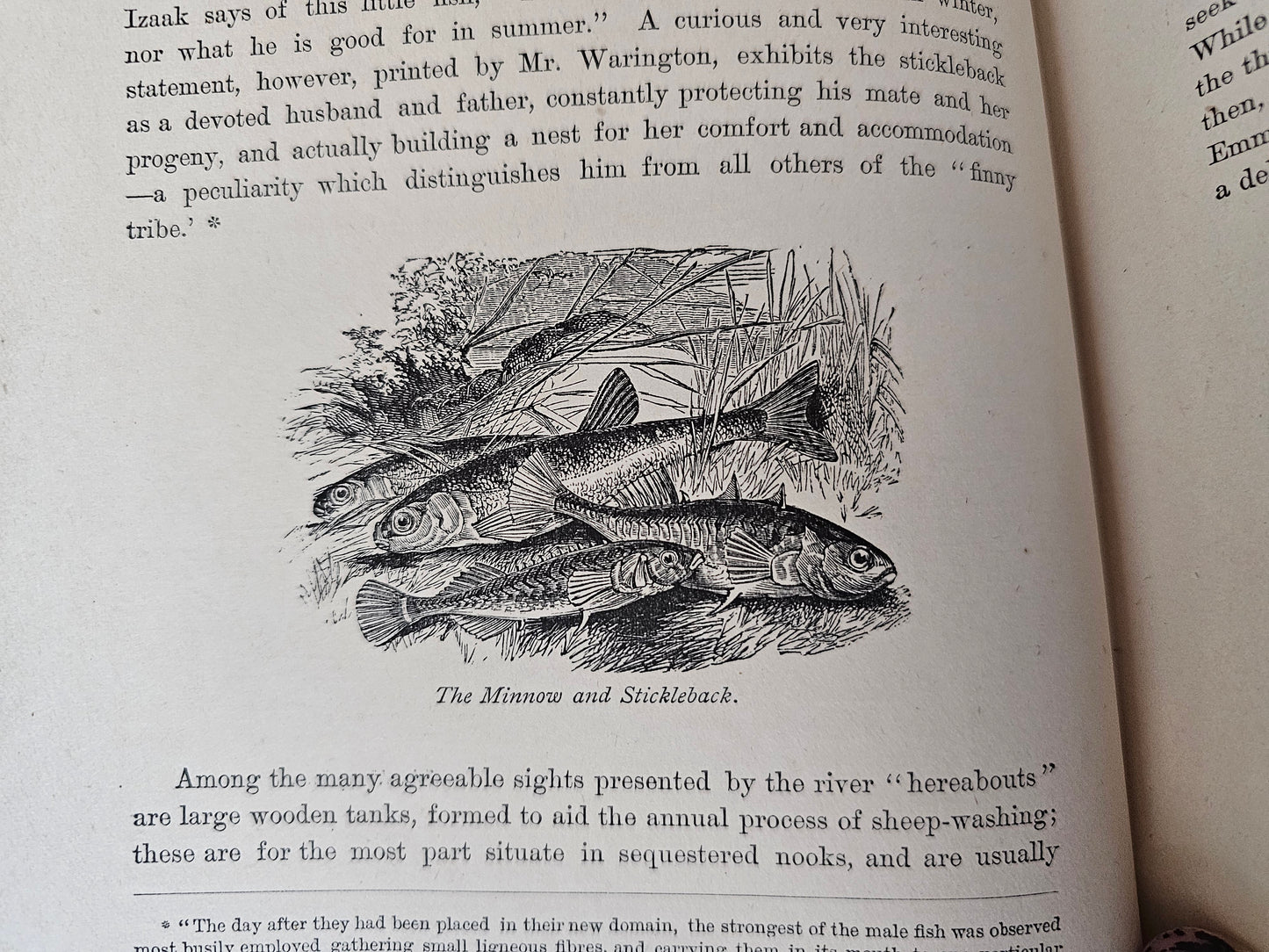 1877 The Book of the Thames From Its Rise to its Fall by Mr & Mrs Hall / JS Virtue, London / Richly Illustrated / With WEAR to the Leather