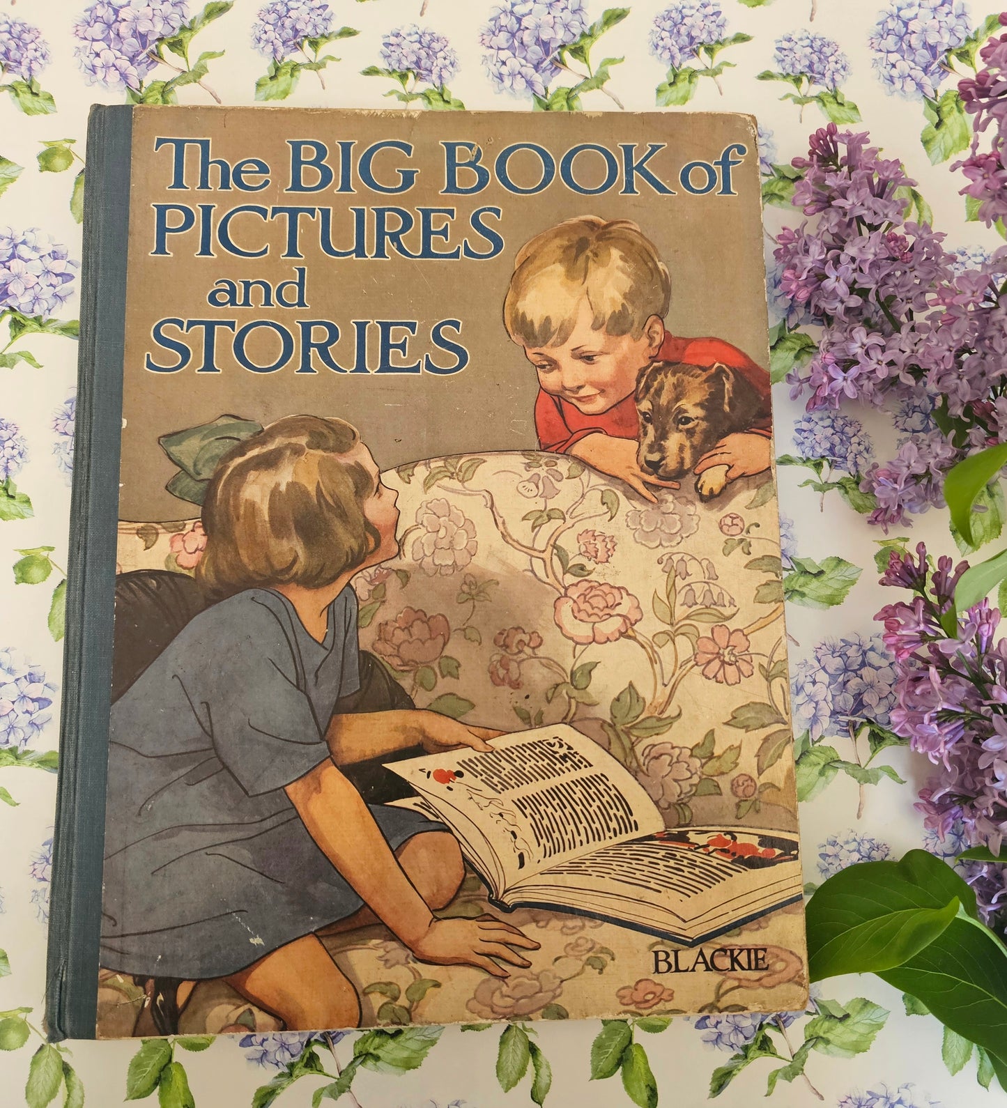 The Big Book of Pictures and Stories / Blackie, London / Large Book / 32 Colour Plates - Anne Anderson, Florence Harrison, Louis Wain etc.