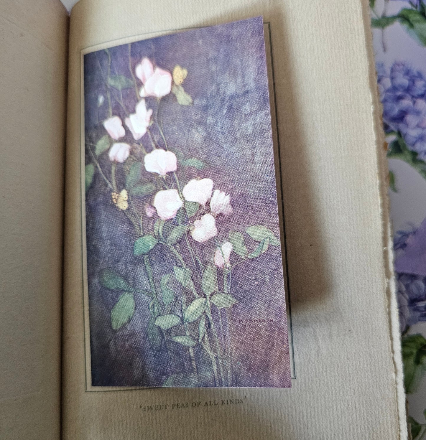 1913 In a City Garden by JR Aitken / With Seven Charming Botanical Illustrations / Antique Book About the Royal Botanical Garden, Edinburgh