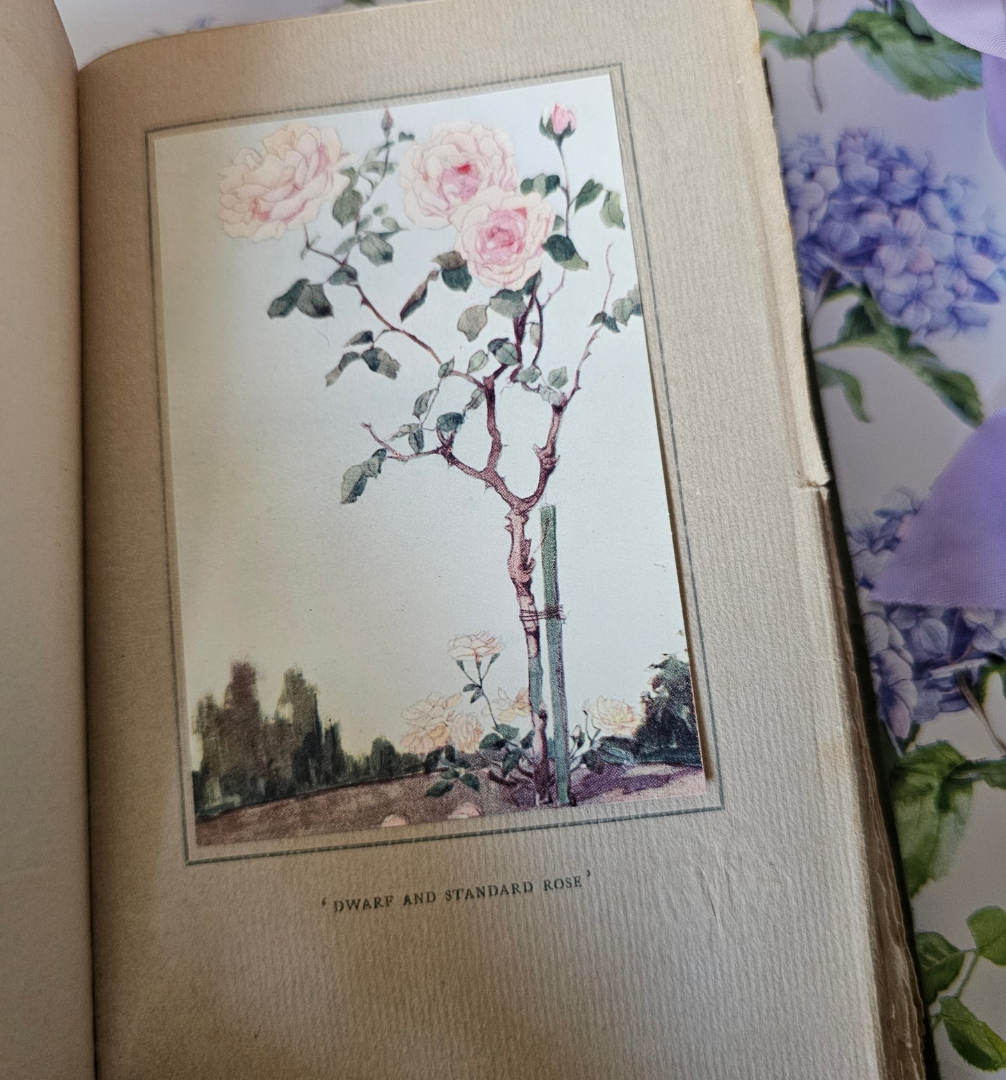 1913 In a City Garden by JR Aitken / With Seven Charming Botanical Illustrations / Antique Book About the Royal Botanical Garden, Edinburgh