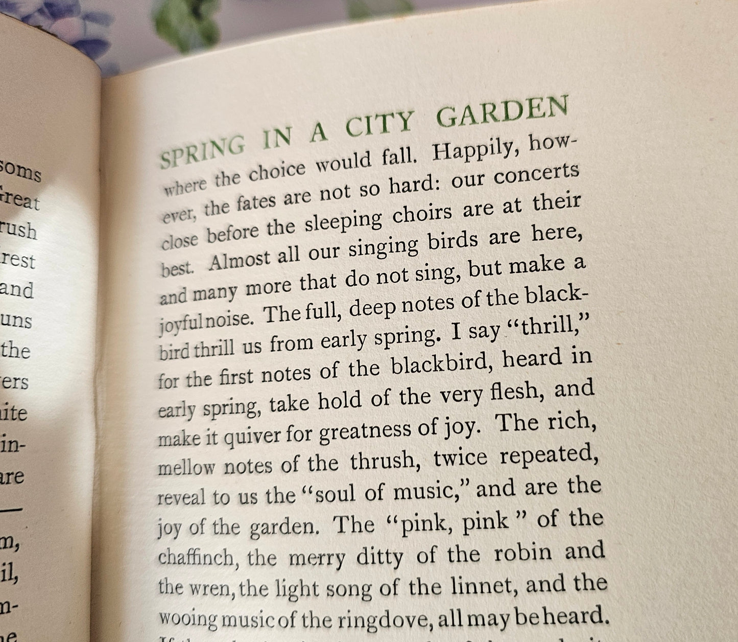 1913 In a City Garden by JR Aitken / With Seven Charming Botanical Illustrations / Antique Book About the Royal Botanical Garden, Edinburgh