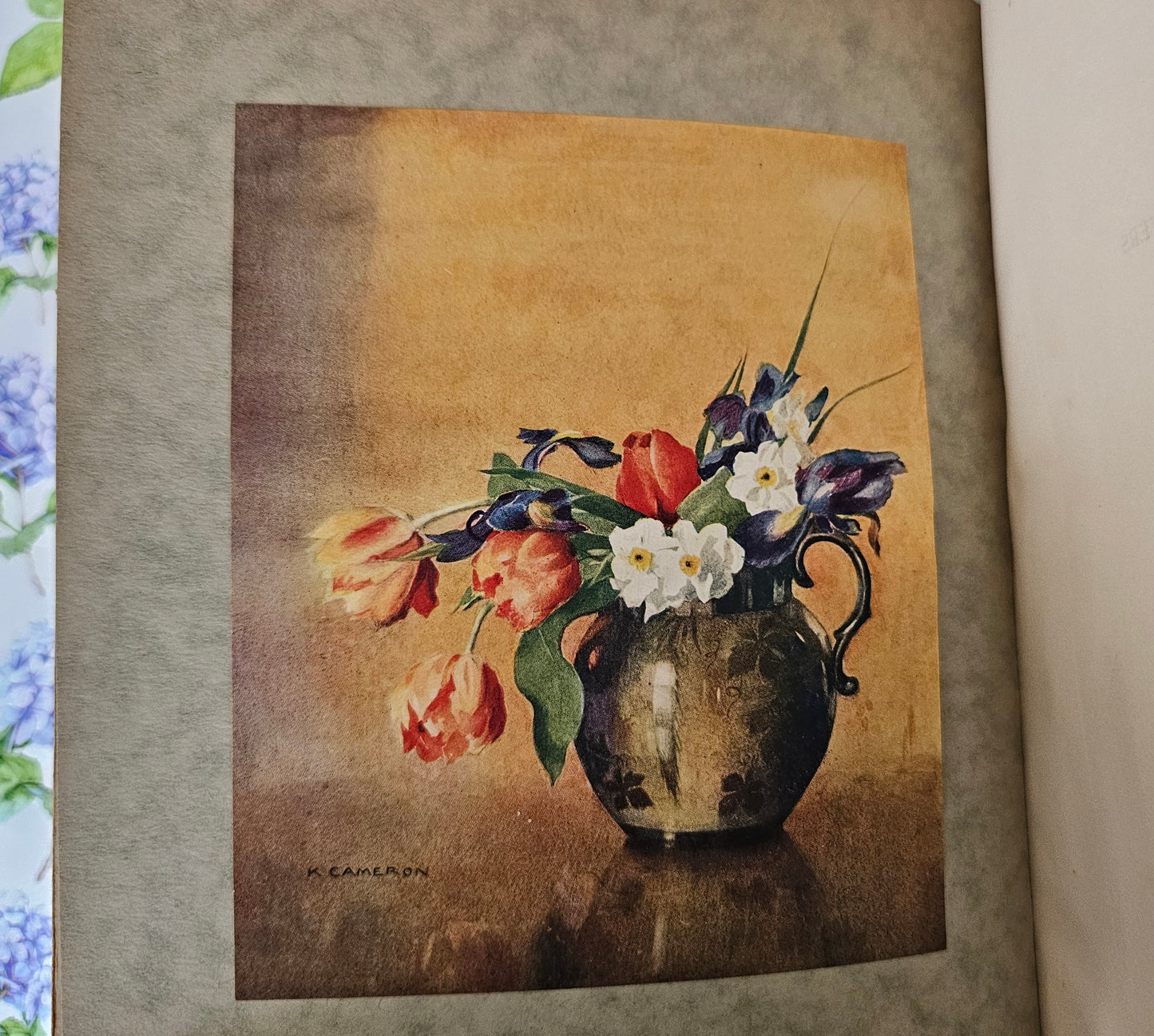 1929 Where the Bee Sucks - A Book of Flowers Poems / With Twelve Botanical Colour Plates / The Medici Society, London / Good Condition