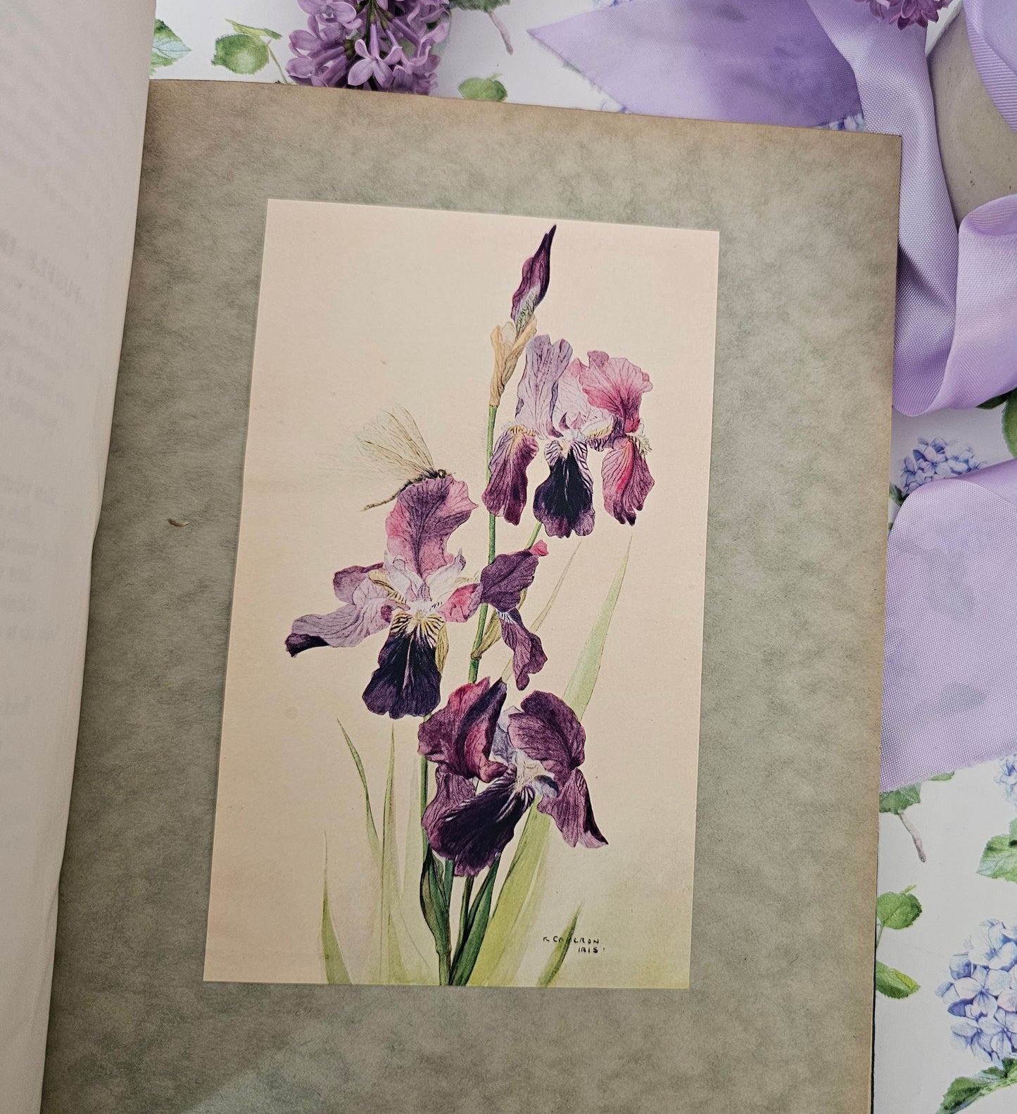 1929 Where the Bee Sucks - A Book of Flowers Poems / With Twelve Botanical Colour Plates / The Medici Society, London / Good Condition