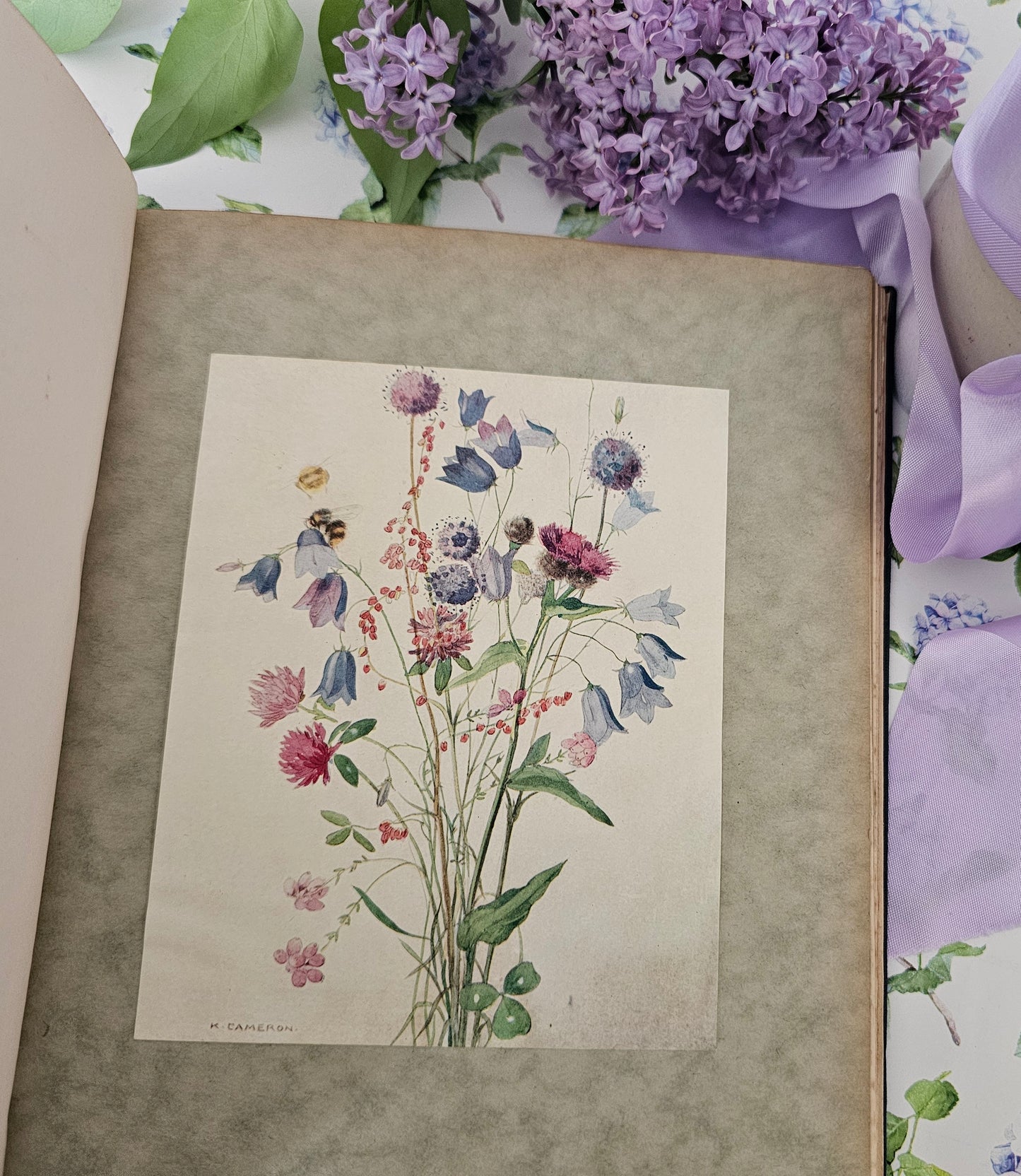 1929 Where the Bee Sucks - A Book of Flowers Poems / With Twelve Botanical Colour Plates / The Medici Society, London / Good Condition