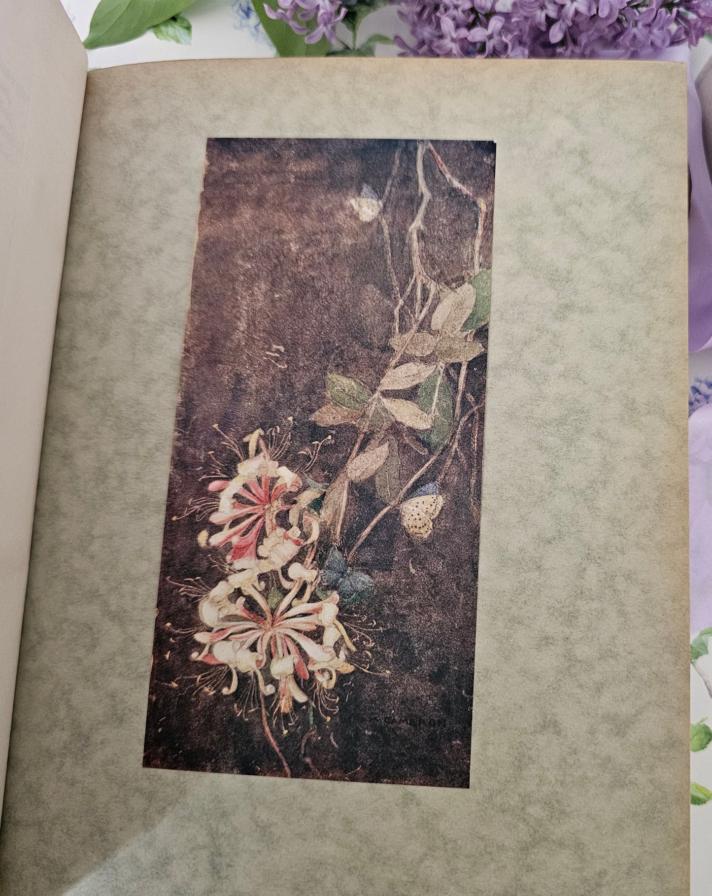 1929 Where the Bee Sucks - A Book of Flowers Poems / With Twelve Botanical Colour Plates / The Medici Society, London / Good Condition