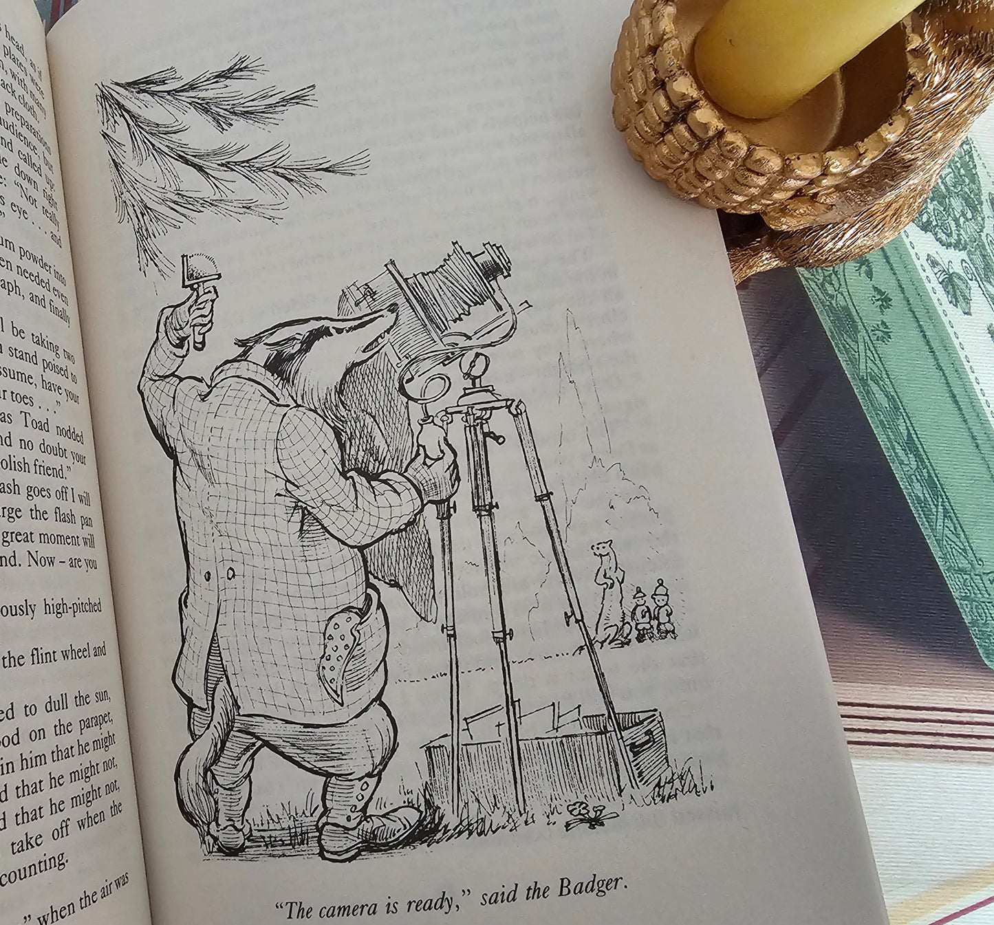 1983 SIGNED First Edition / A Fresh Wind in the Willows by Dixon Scott / Sequel to Kenneth Grahame's Classic / Richly Illustrated / VGC