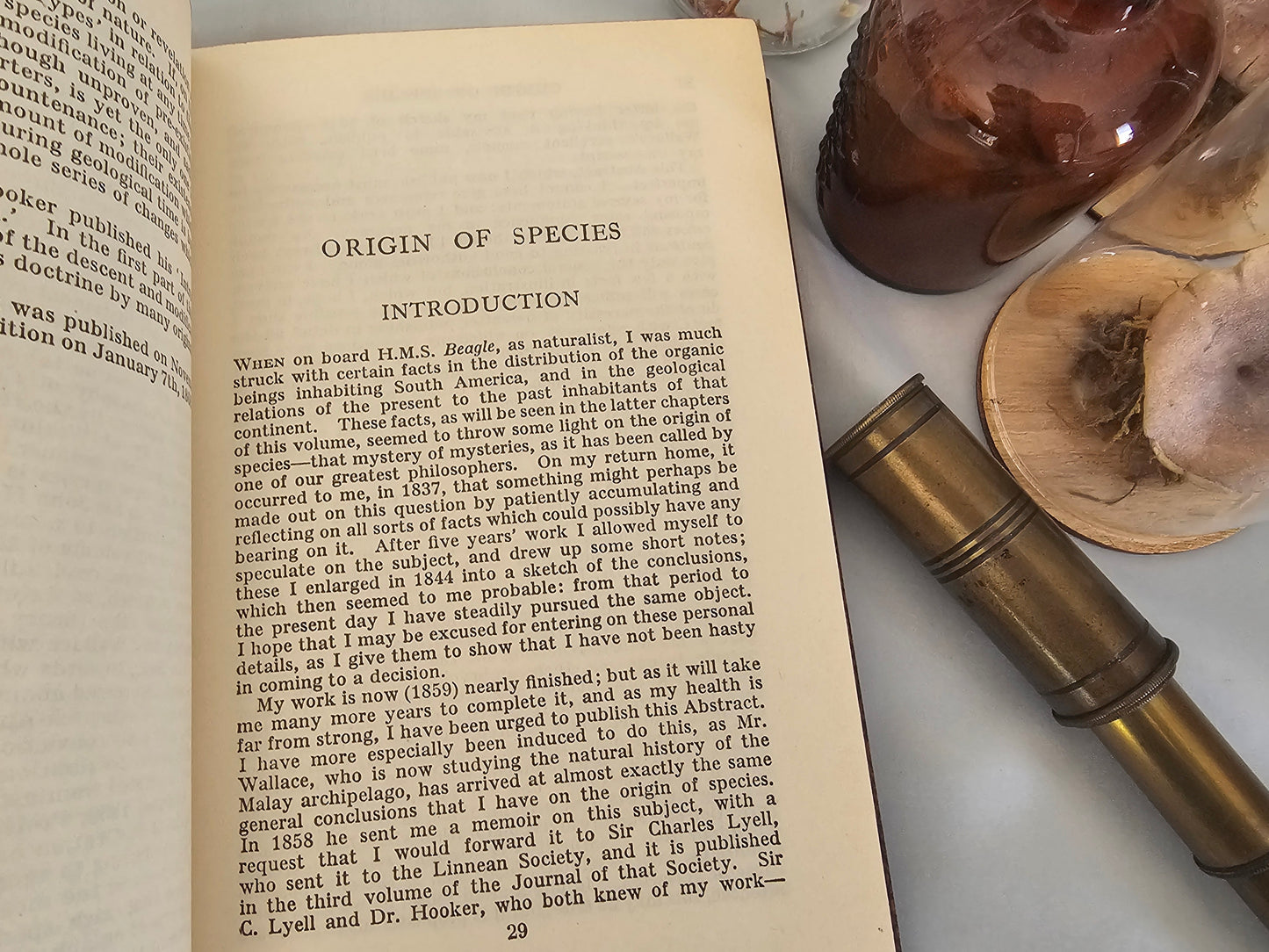 1930s The Origin of Species by Charles Darwin / Odhams Press Ltd / Brown Faux Leather Boards With Gilt Lettering / In Excellent Condition