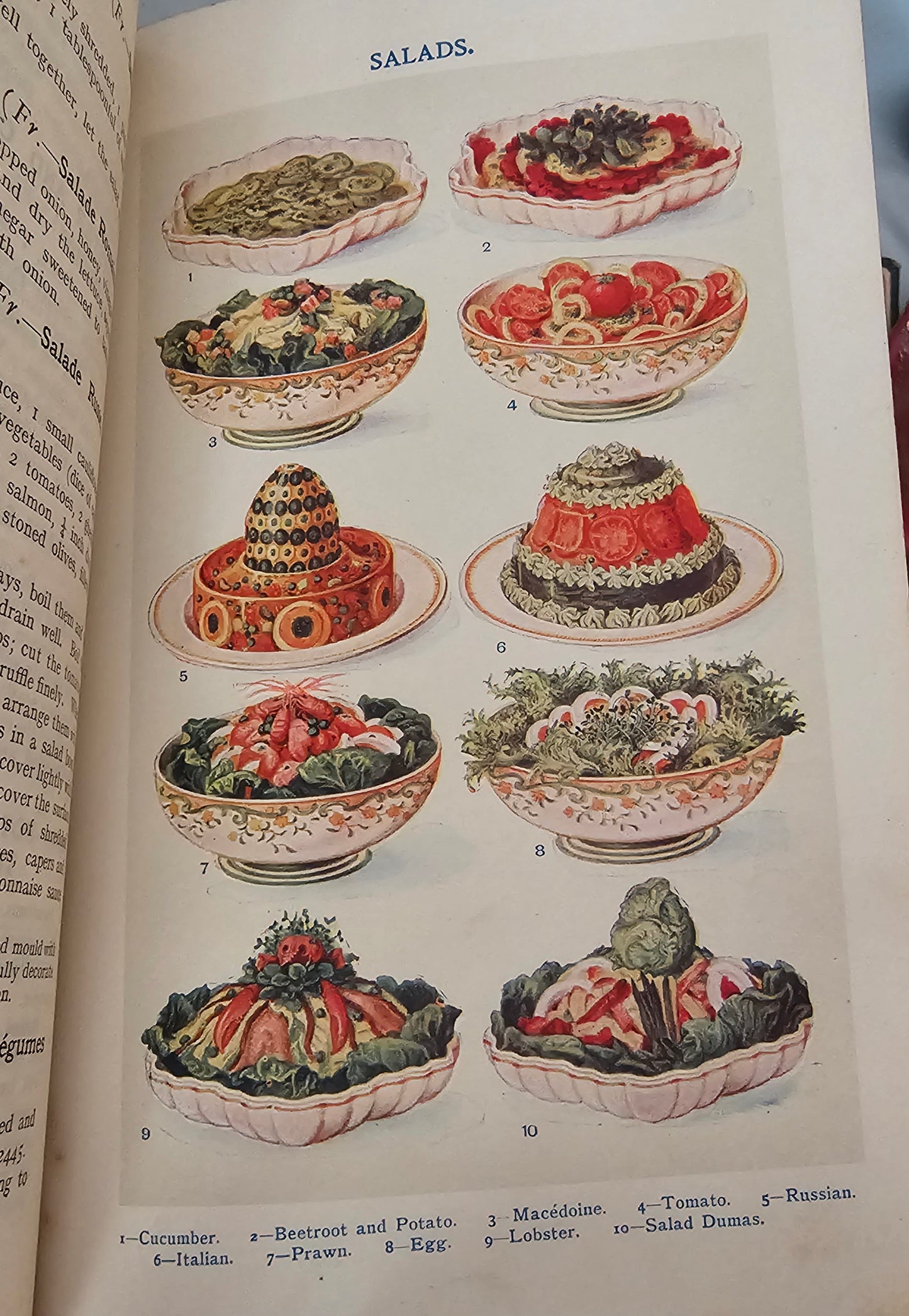 1913 The Book of Household Management by Mrs Isabella Beeton / Ward Lock & Co., London / 32 Colour Plates and Nearly 700 Illustrations
