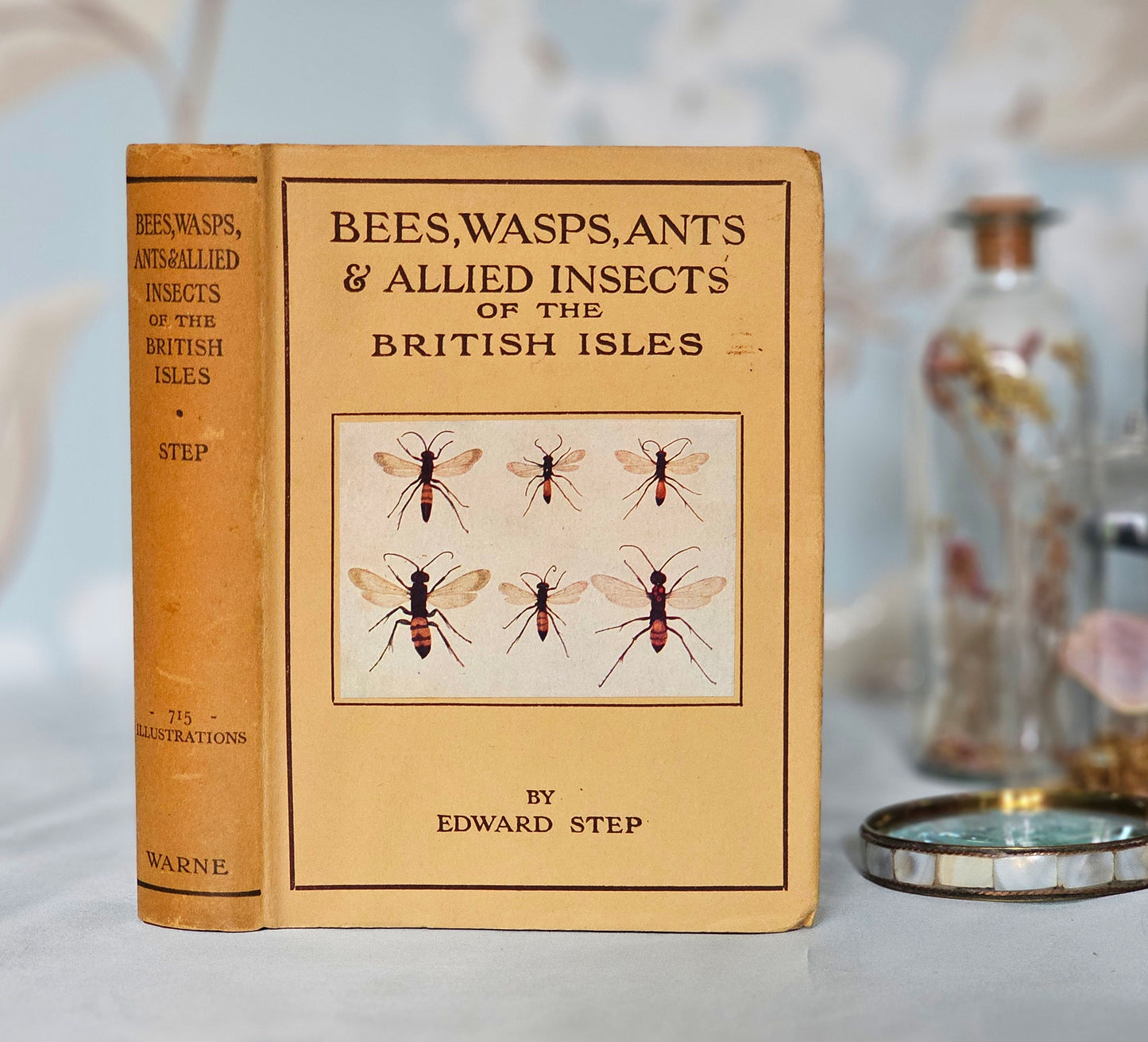 1932 Bees, Wasps, Ants and Allied Insects of the British Isles by Edward Step / First Edition, Warne / Illustrated / In Excellent Condition