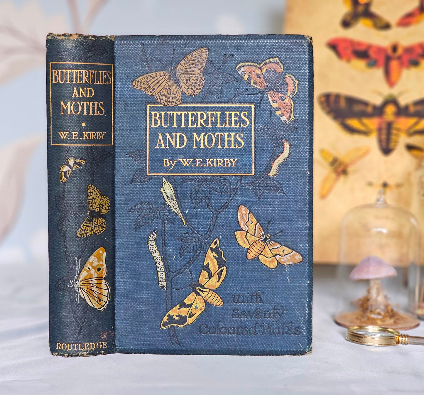 1909 Butterflies and Moths of the United Kingdom by Egmont Kirby / 69 Detailed Colour Plates / Lovely Decorative Boards / Lacks One Plate