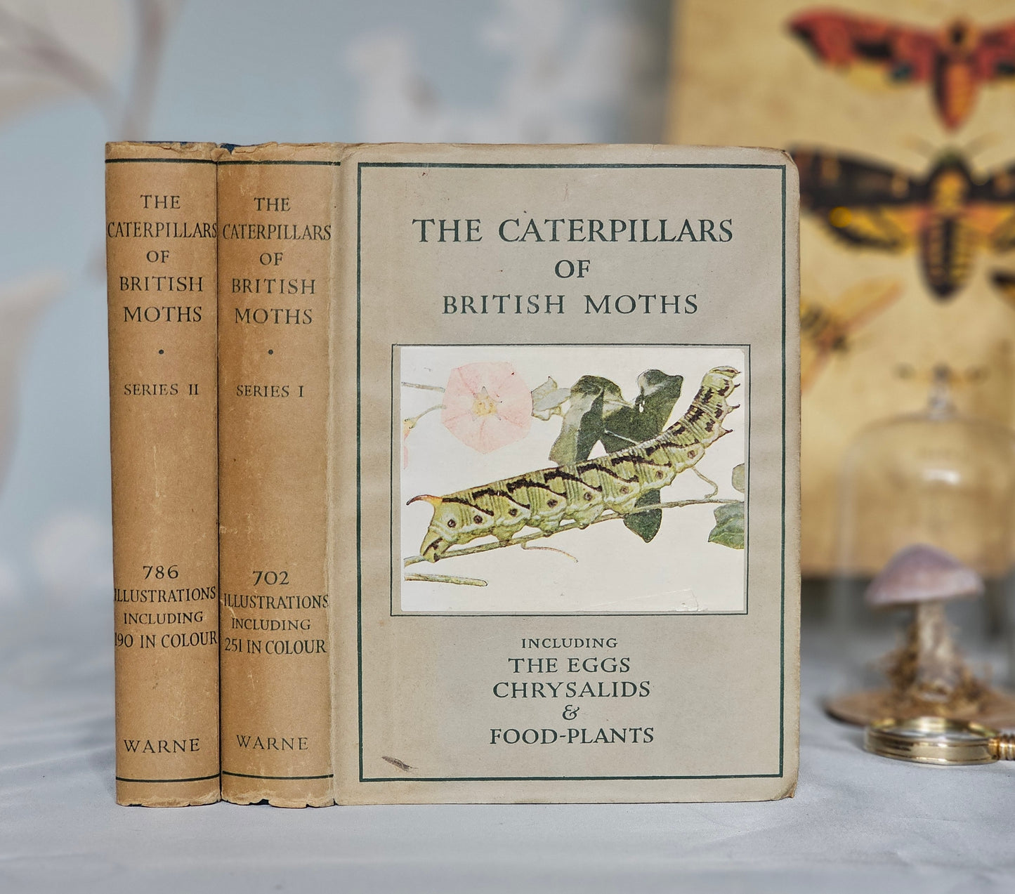 1948 The Caterpillars of the Moths / Frederick Warne & Co, Ltd / Numerous Illustrations in Colour and BW / Scarce Dust Jackets
