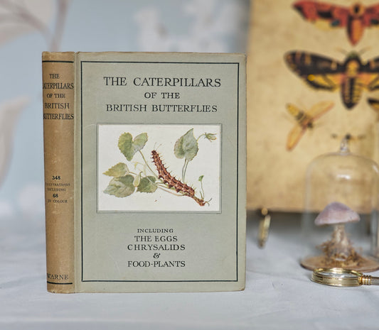 1944 The Caterpillars of the British Butterflies / Frederick Warne & Co, Ltd / Numerous Illustrations in Colour and BW / Scarce Dust Jacket