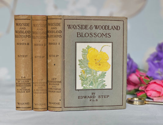 1940s Wayside and Woodland Blossoms A Guide To British Wild Flowers In 3 Volumes / Warne & Co. / In Good Condition / Numerous Colour Plates