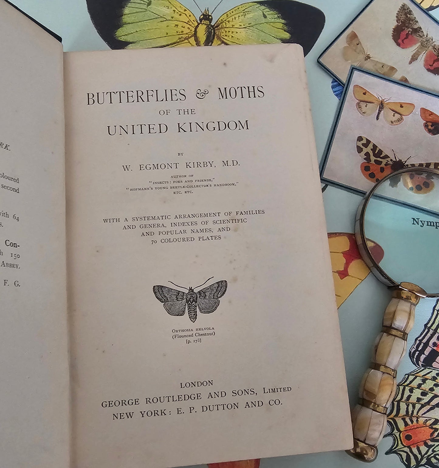 1909 Butterflies and Moths of the United Kingdom by Egmont Kirby / 69 Detailed Colour Plates / Lovely Decorative Boards / Lacks One Plate