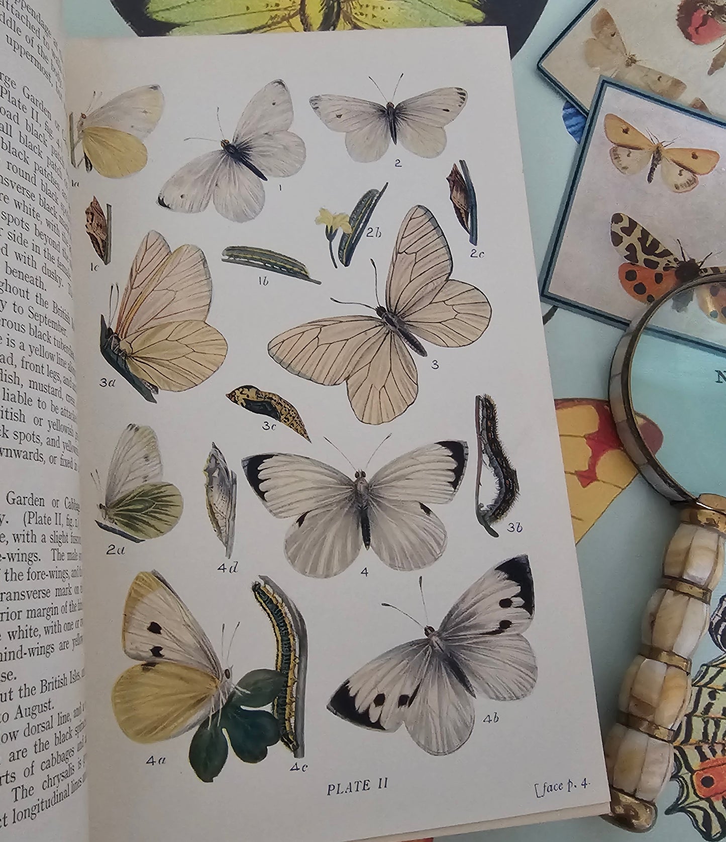 1909 Butterflies and Moths of the United Kingdom by Egmont Kirby / 69 Detailed Colour Plates / Lovely Decorative Boards / Lacks One Plate