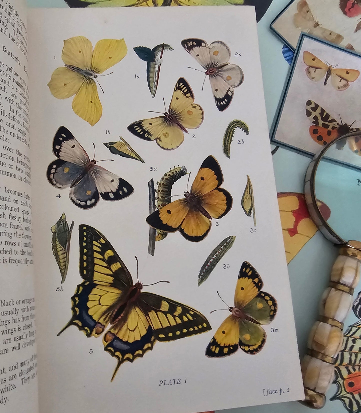 1909 Butterflies and Moths of the United Kingdom by Egmont Kirby / 69 Detailed Colour Plates / Lovely Decorative Boards / Lacks One Plate