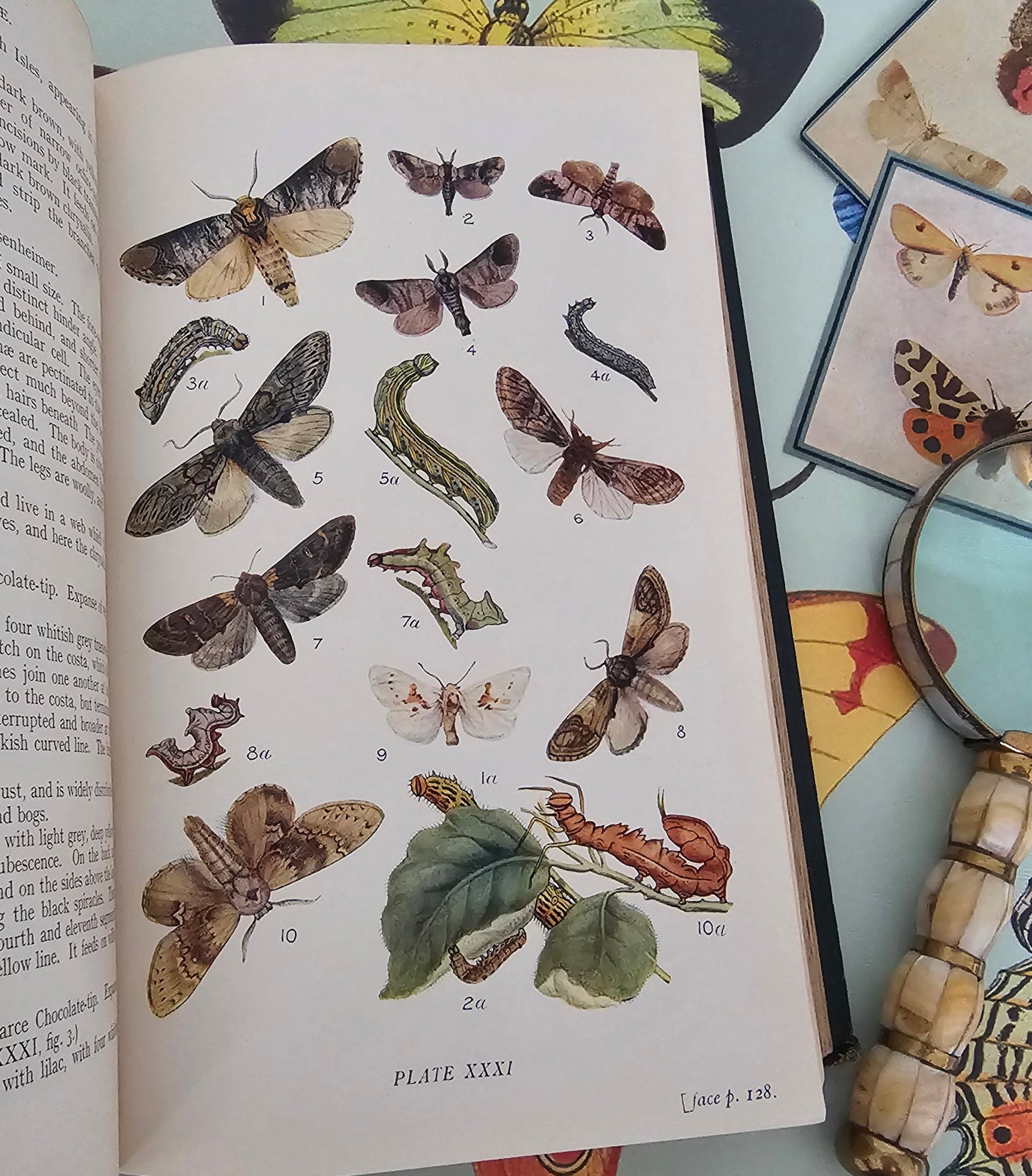 1909 Butterflies and Moths of the United Kingdom by Egmont Kirby / 69 Detailed Colour Plates / Lovely Decorative Boards / Lacks One Plate